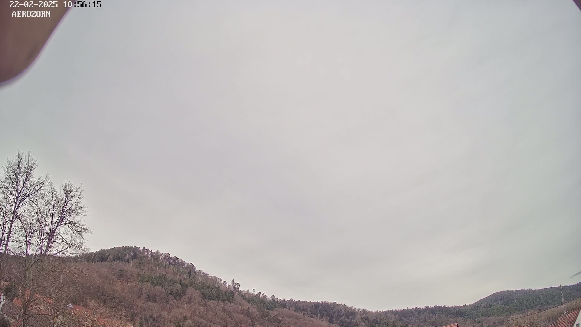 A mostly cloudy sky overlooks a line of leafless, winter trees and hills.