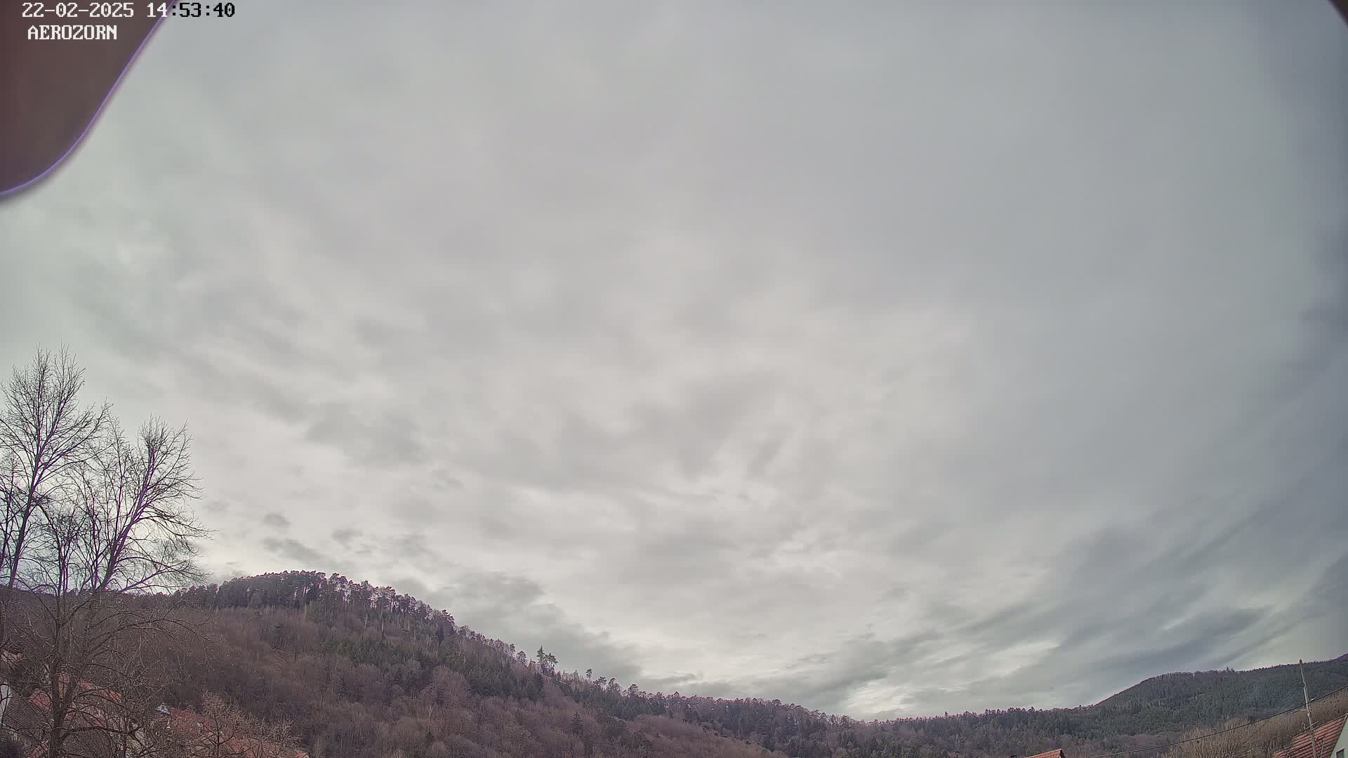 A mostly cloudy sky hangs over a line of bare, winter trees and hills.