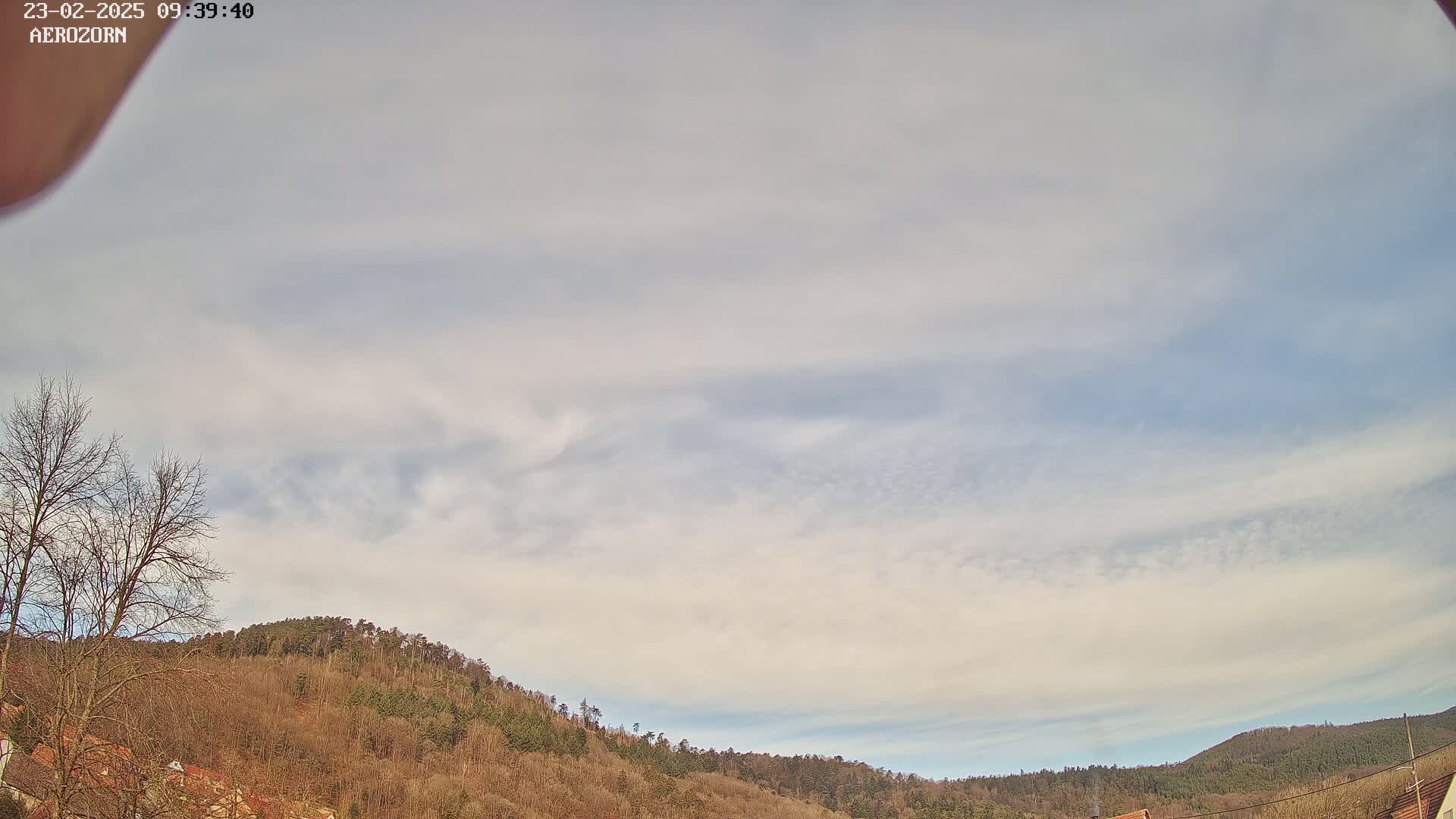 A mostly cloudy sky over a line of bare, brown-leaved trees on a hill.