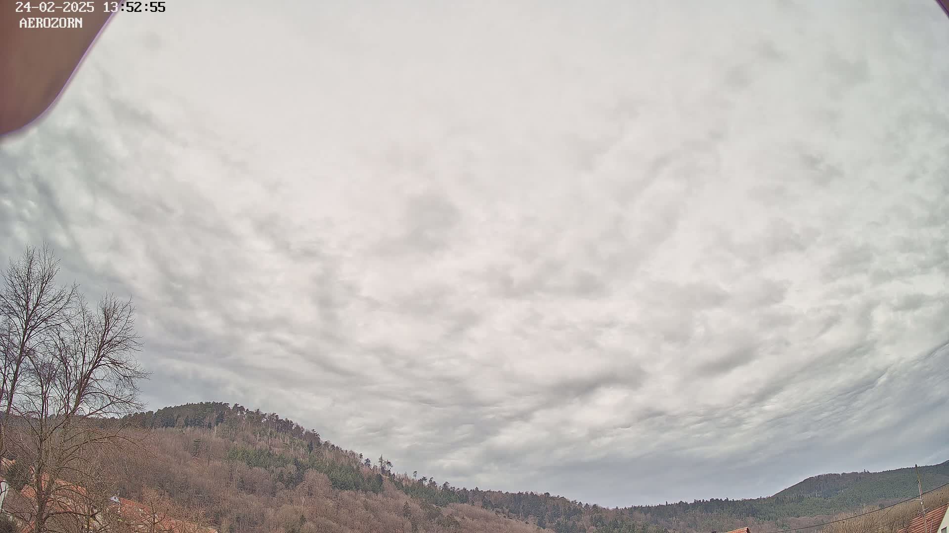A mostly cloudy sky hangs over a line of bare, winter trees atop a hill.
