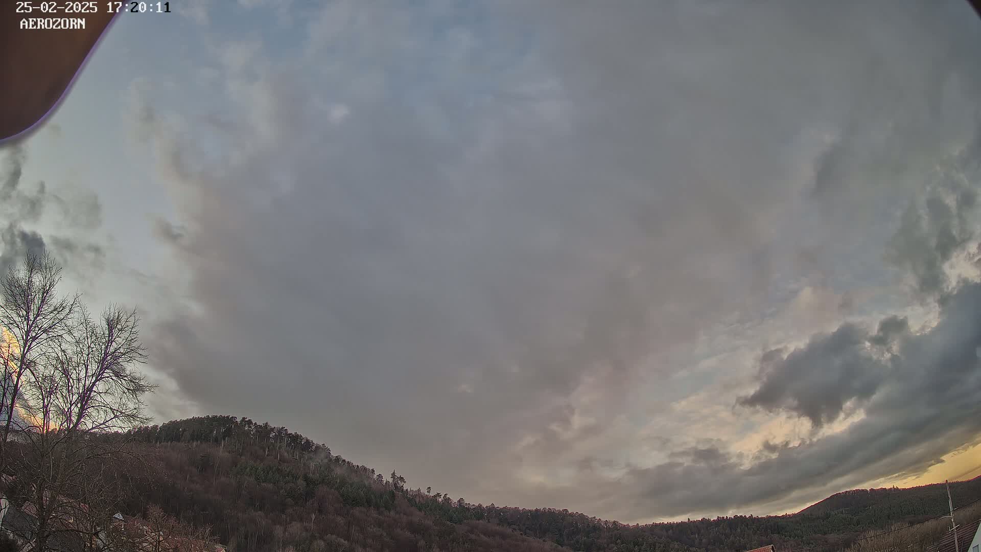 A mostly cloudy sky with hints of sunset colors hangs over a line of bare, dark-green trees on a hill.