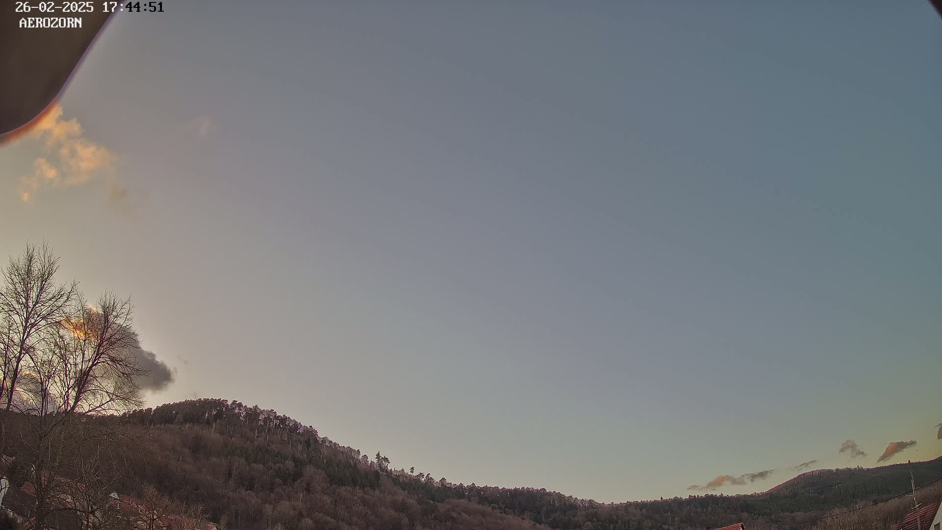 A mostly clear, dusky sky sits above a line of leafless trees atop a hill.
