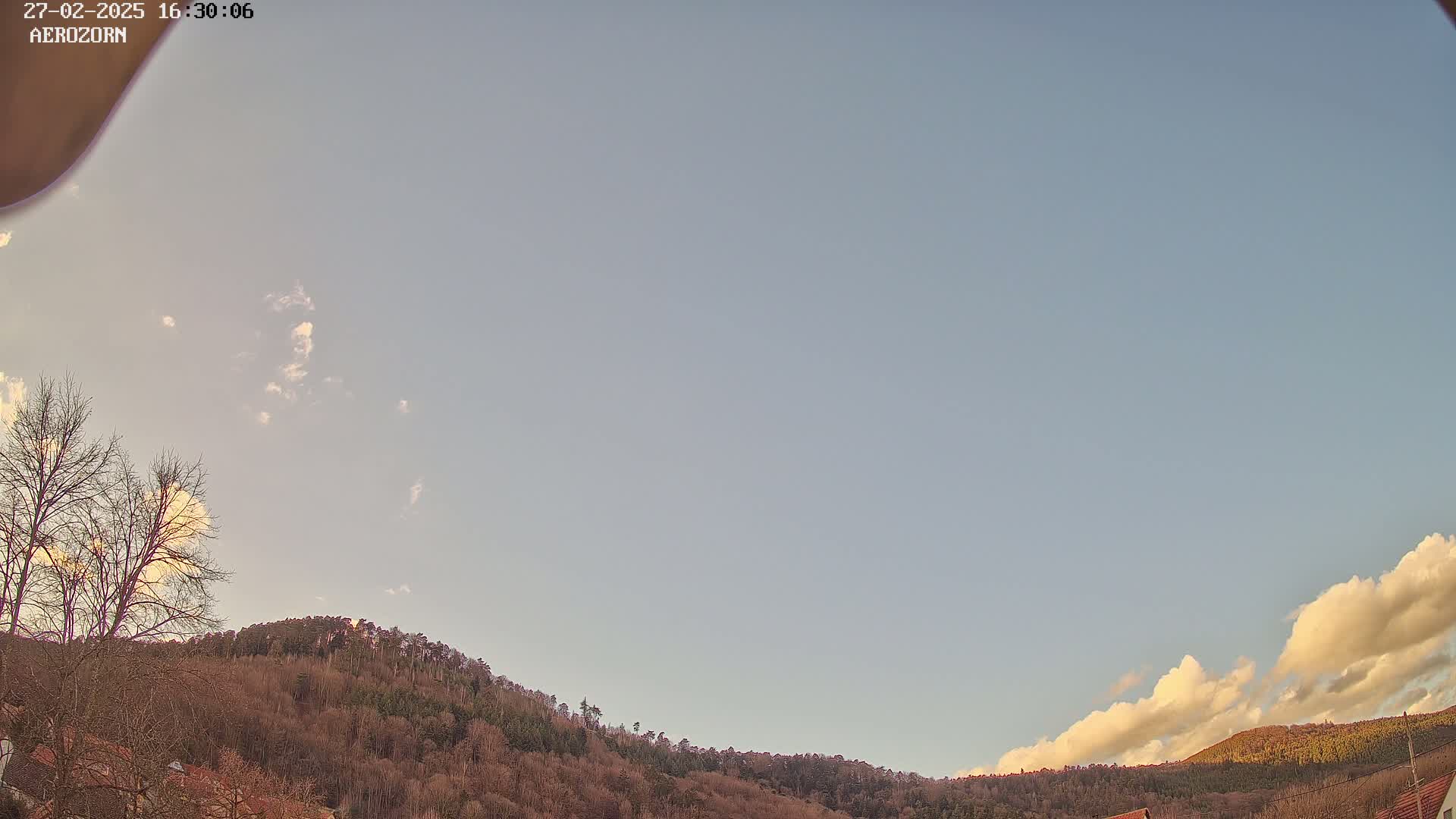 A mostly clear, pale blue sky with a few clouds is above a line of bare, brown trees covering a hill.