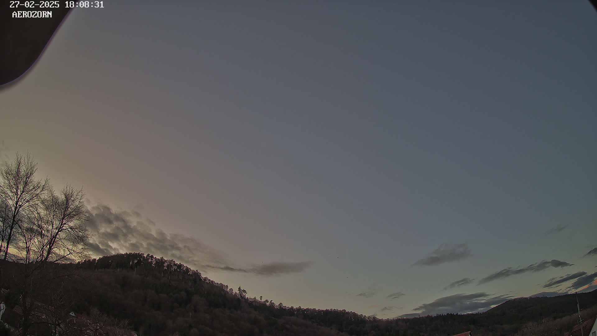 A mostly clear, dusky sky hangs over a dark, leafless forest at twilight.