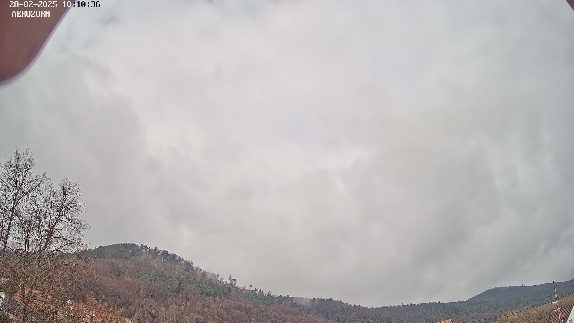 A mostly cloudy sky hangs over a line of bare, winter trees and hills.