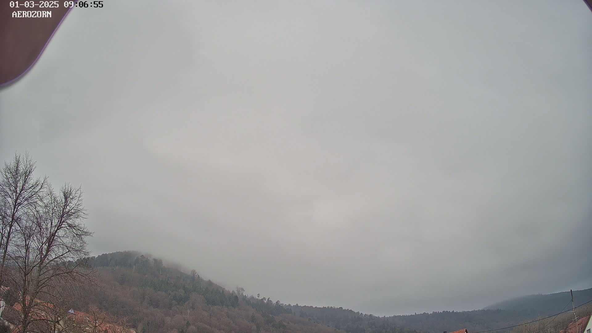 A foggy, overcast sky hangs above a line of bare, winter trees and hills.