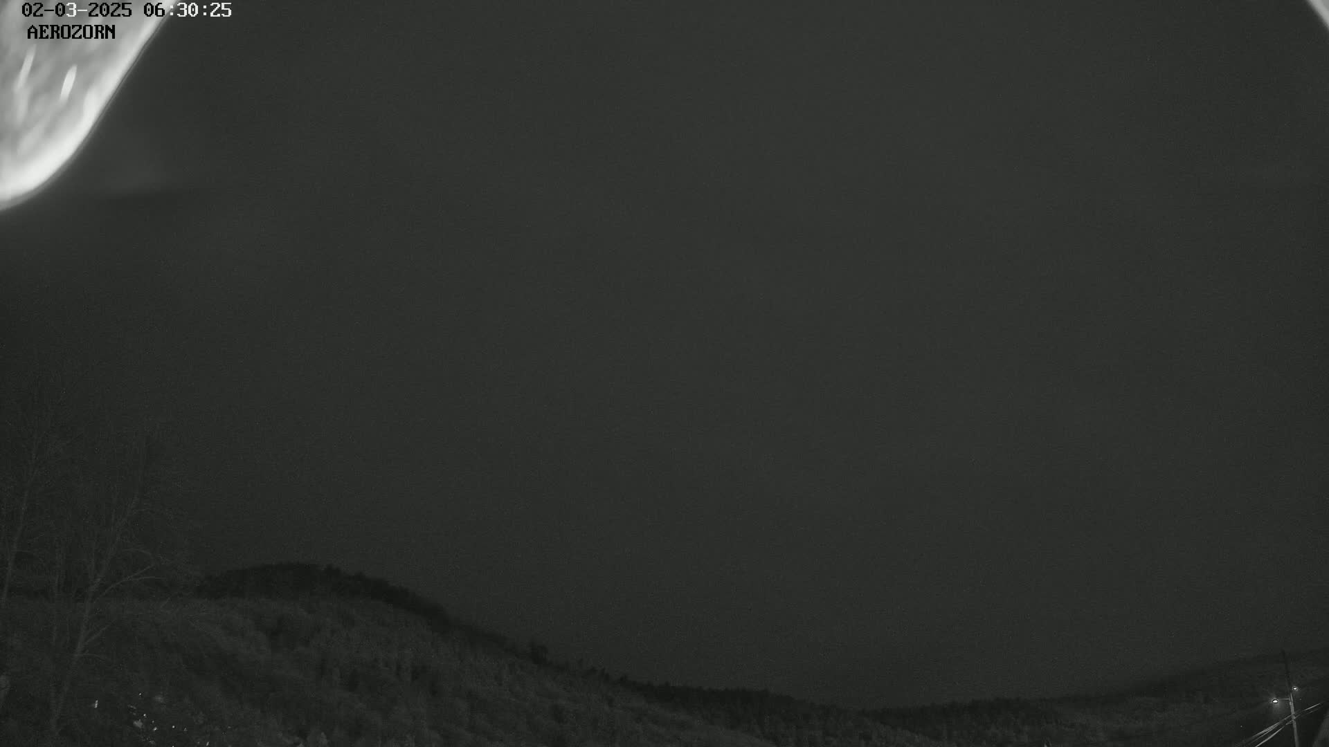 A faint aurora borealis illuminates a dark night sky above a treeline.