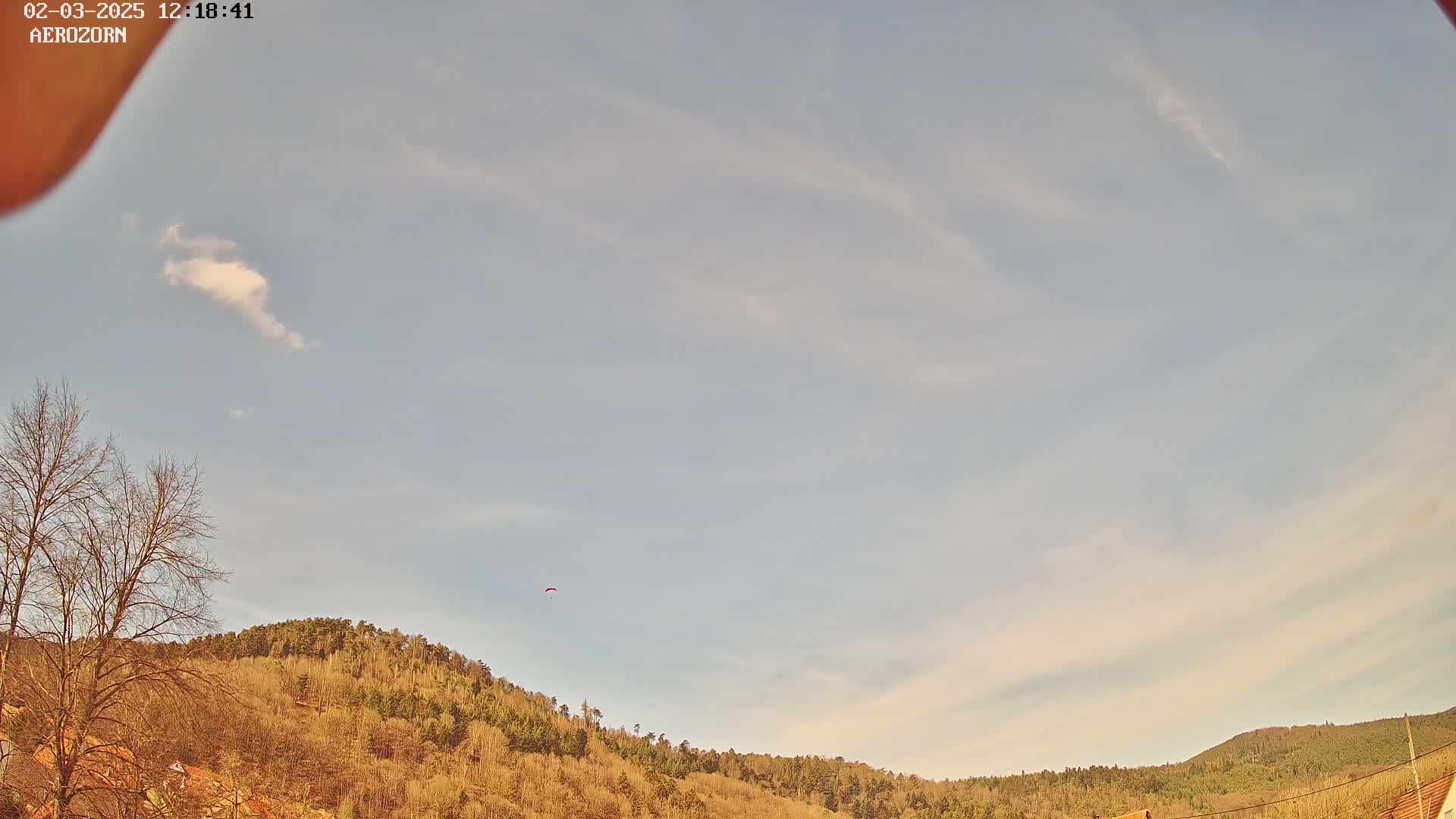A paraglider is visible in a pale blue sky with wispy clouds above a line of bare, brown trees on a hillside.