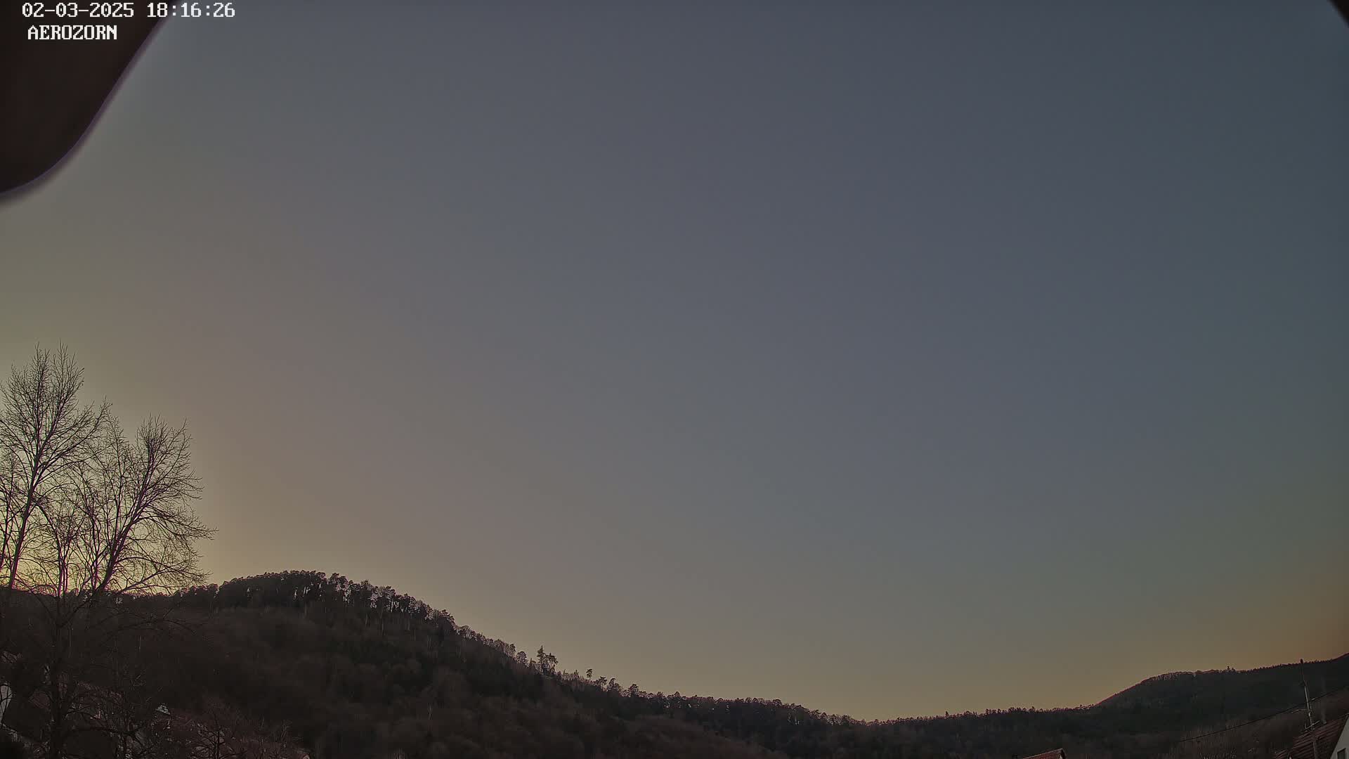 A mostly clear twilight sky hangs over a line of dark, leafless trees atop a hill.