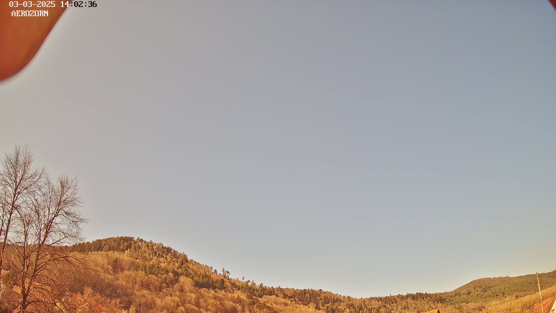 Under a pale, clear sky, a gently sloping hill covered in dormant, brown and green trees fills the lower half of the frame.