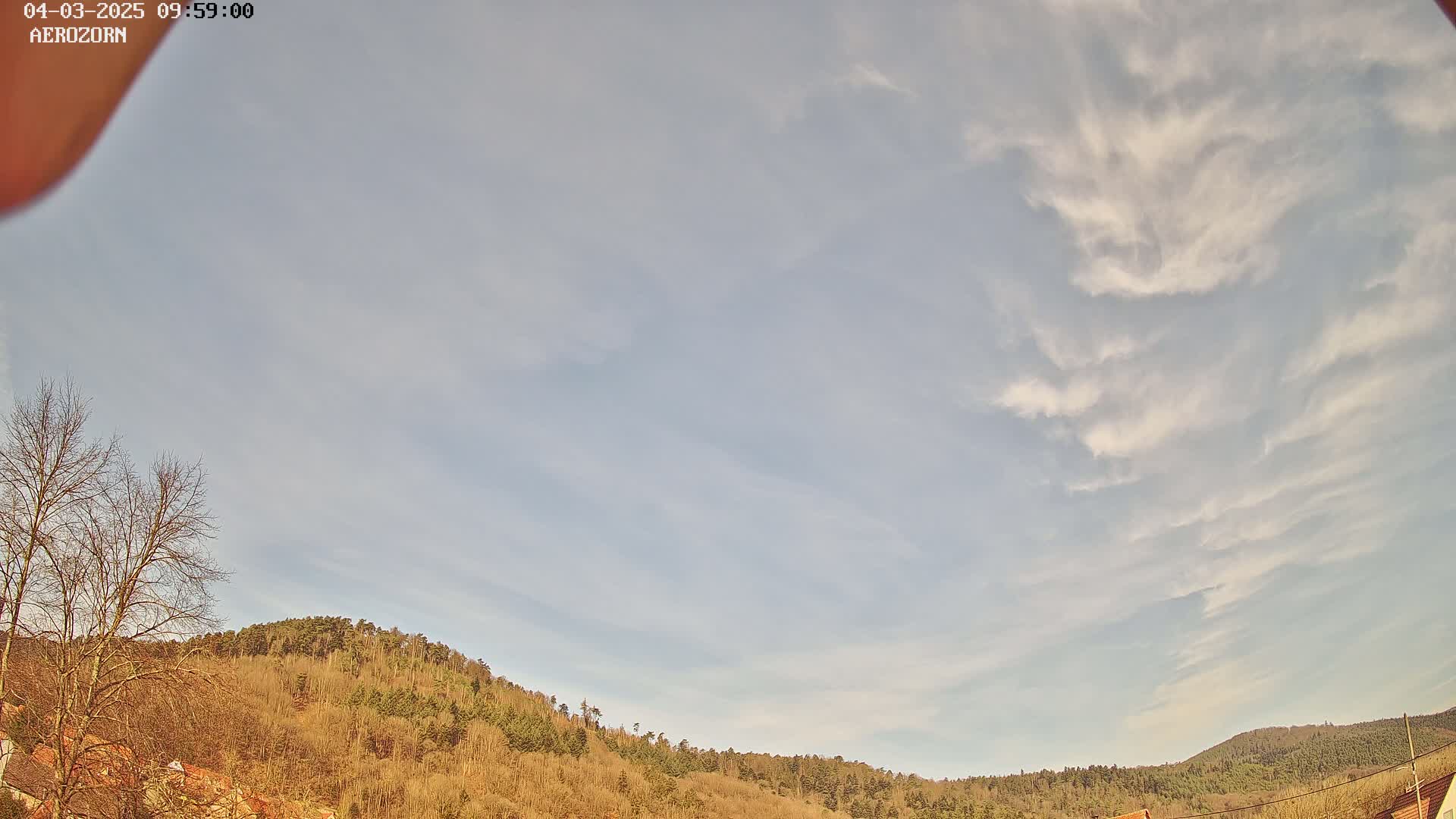 A mostly clear sky with thin, wispy clouds overlays a hilly landscape of mostly bare, brown trees.