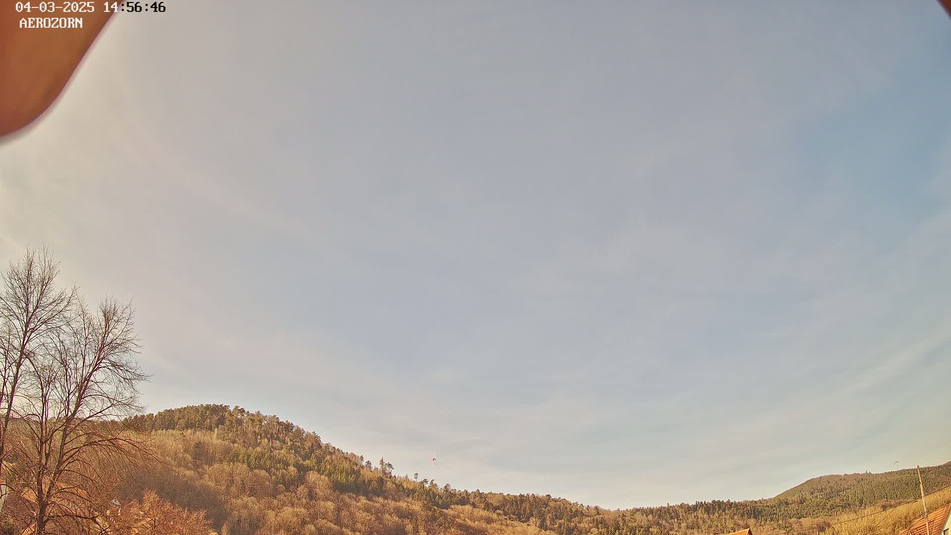 A mostly clear sky is over a gently sloping hillside covered in bare, winter trees.