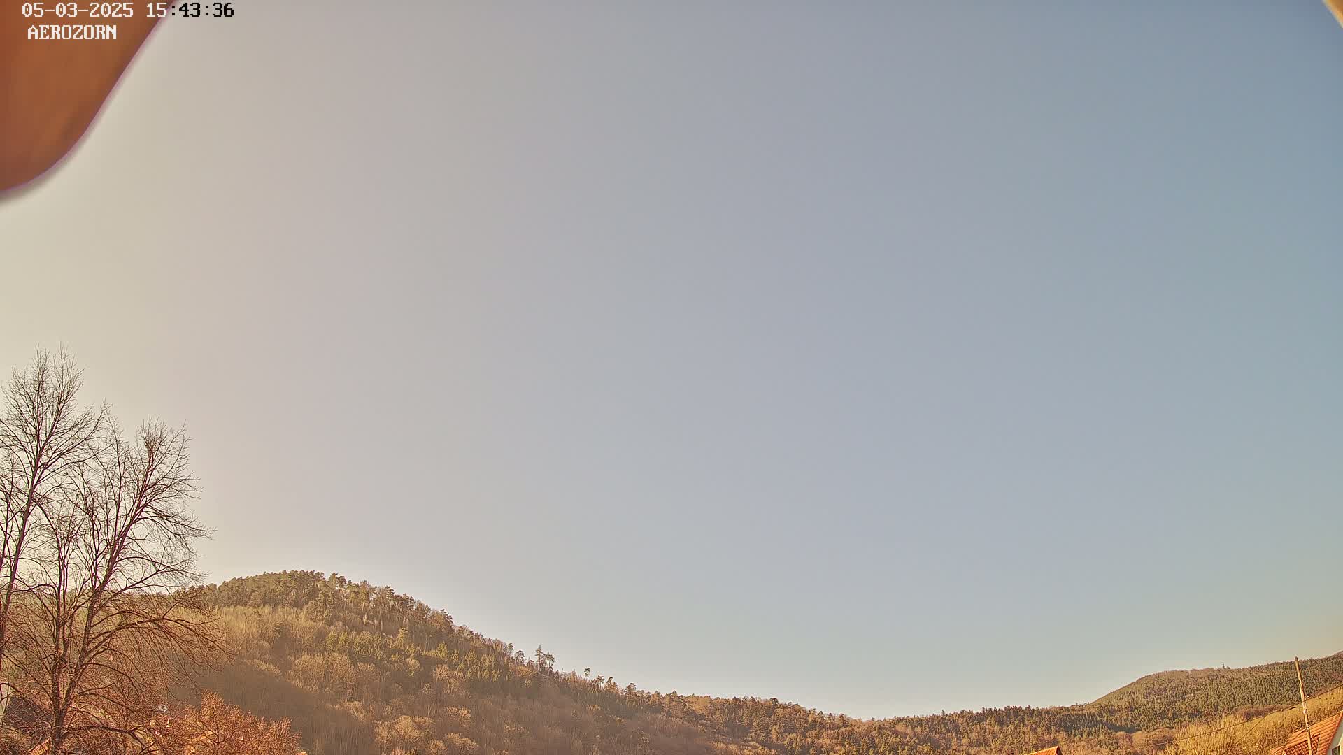 Under a clear, pale blue sky, bare trees stand in the foreground before a gently sloping hill covered in a mix of deciduous trees.