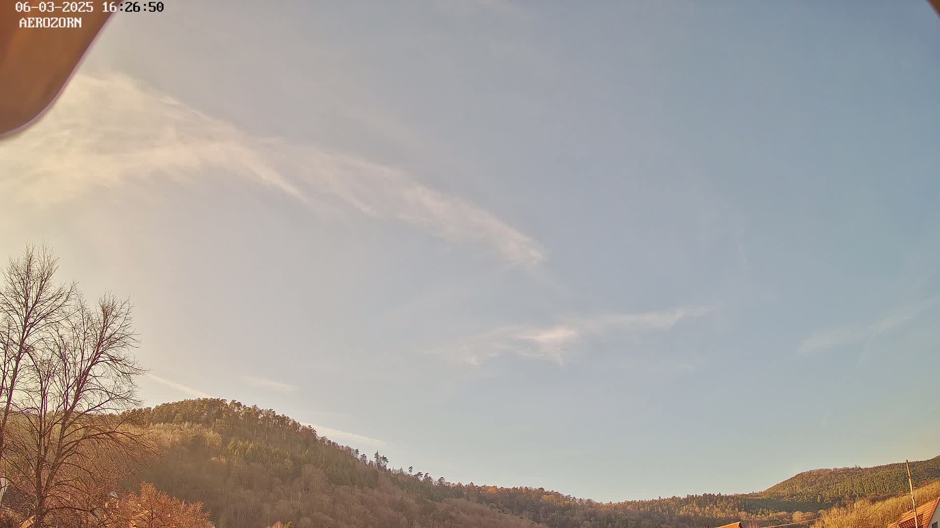 A mostly clear sky with wispy clouds hangs above a line of bare, winter trees and a hill covered in a forest.