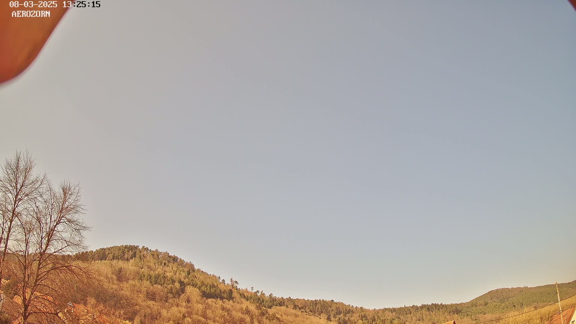 Under a pale, clear sky, a gently sloping hillside covered in leafless, light brown trees stretches across the bottom of the image.