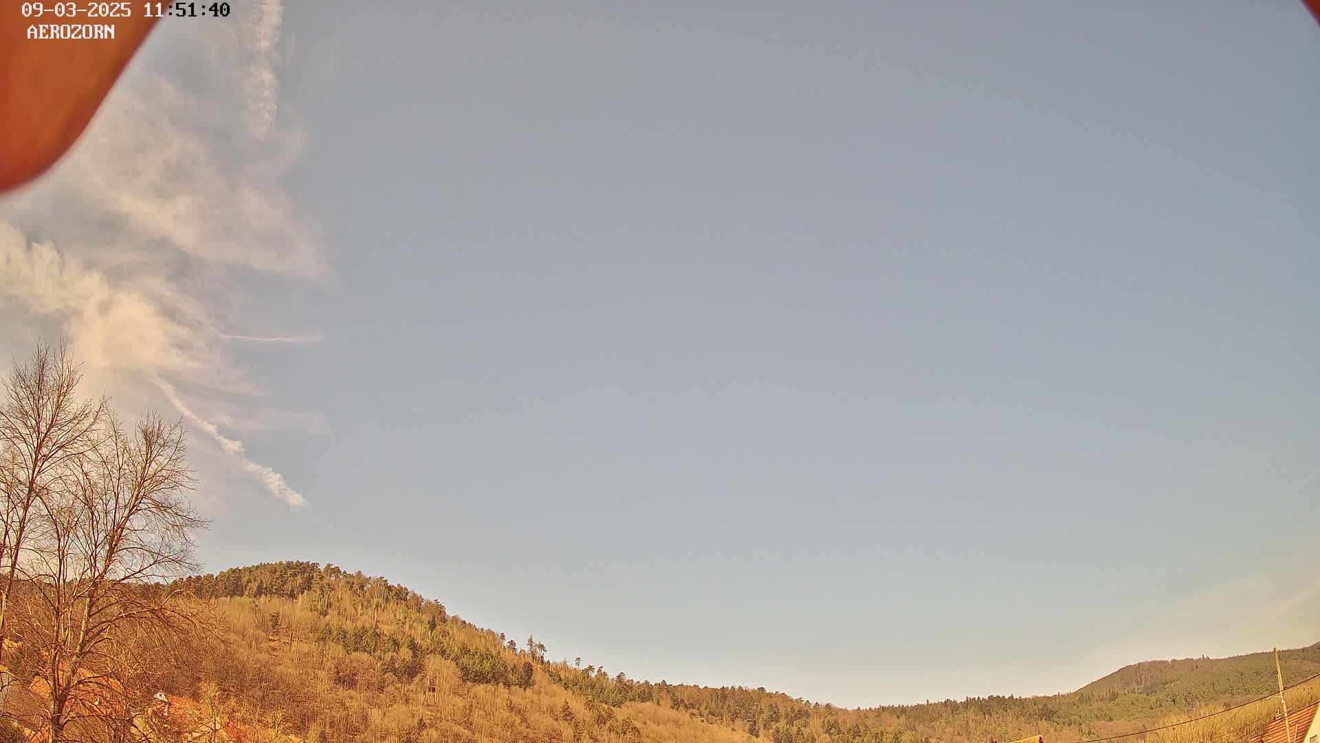 Under a mostly clear, pale blue sky with wispy clouds, a line of bare, brown trees covers a gently sloping hill.