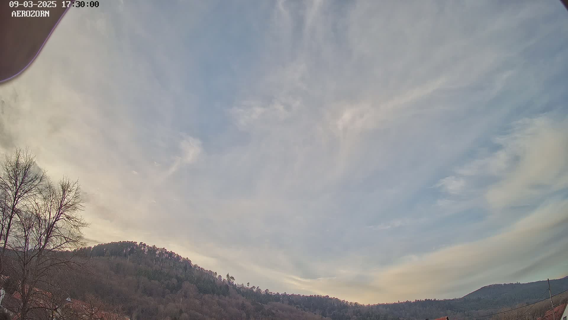 A mostly cloudy sky with wispy clouds hangs over a line of bare, dark trees atop a hill.