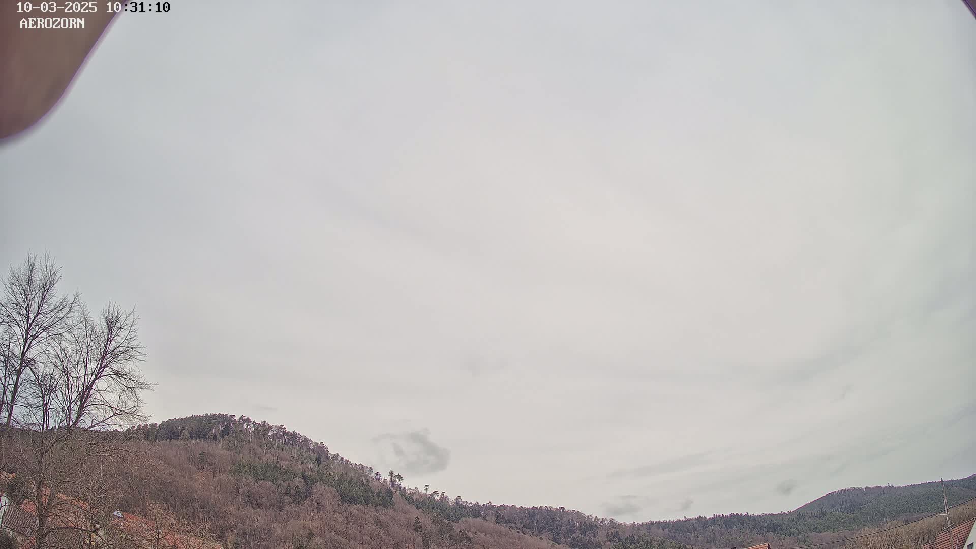 A mostly cloudy sky overlooks a hill covered in leafless trees.