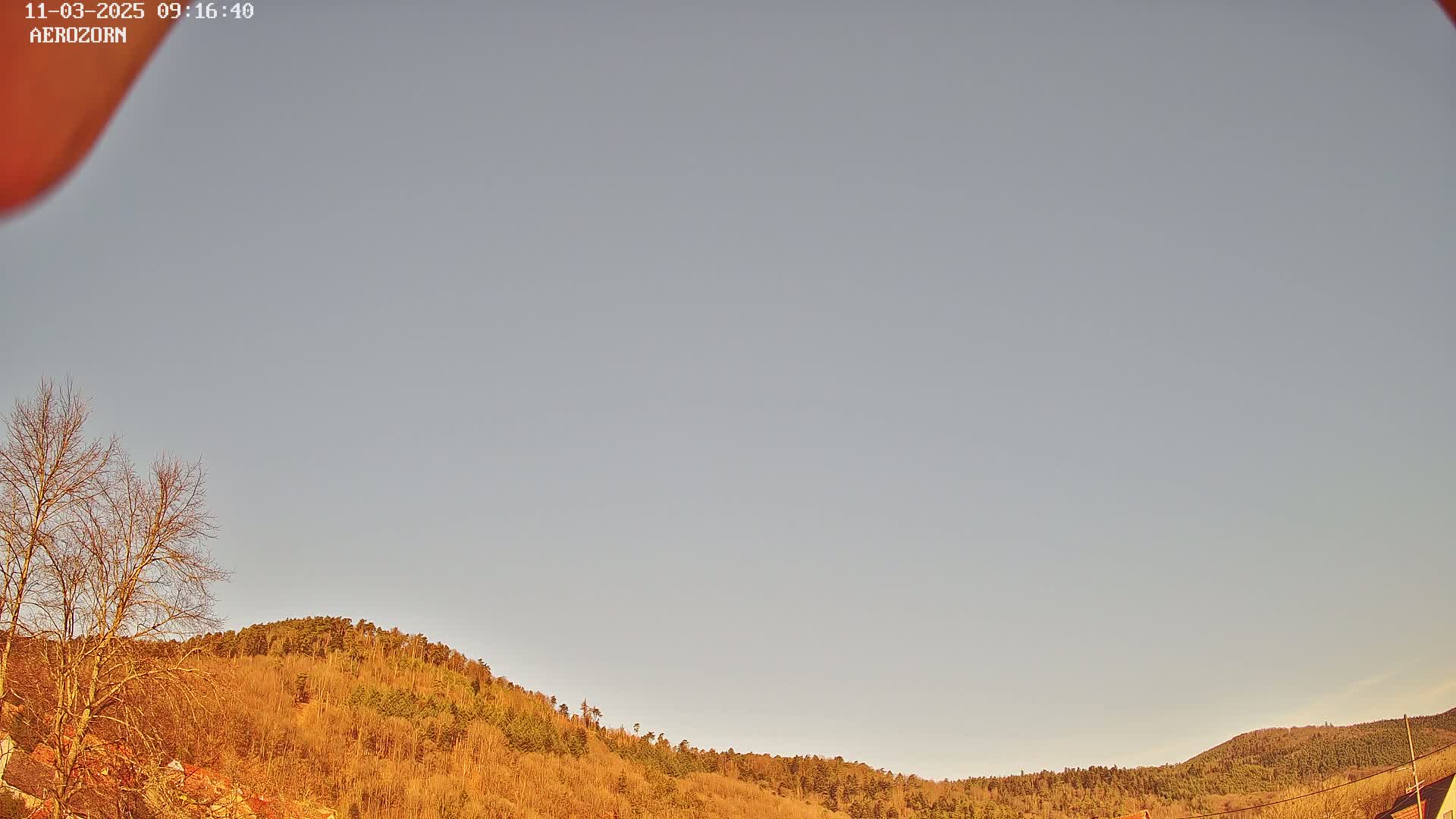Under a clear, light-grey sky, a gently curving hillside covered in mostly bare, brown trees extends across the lower portion of the image.