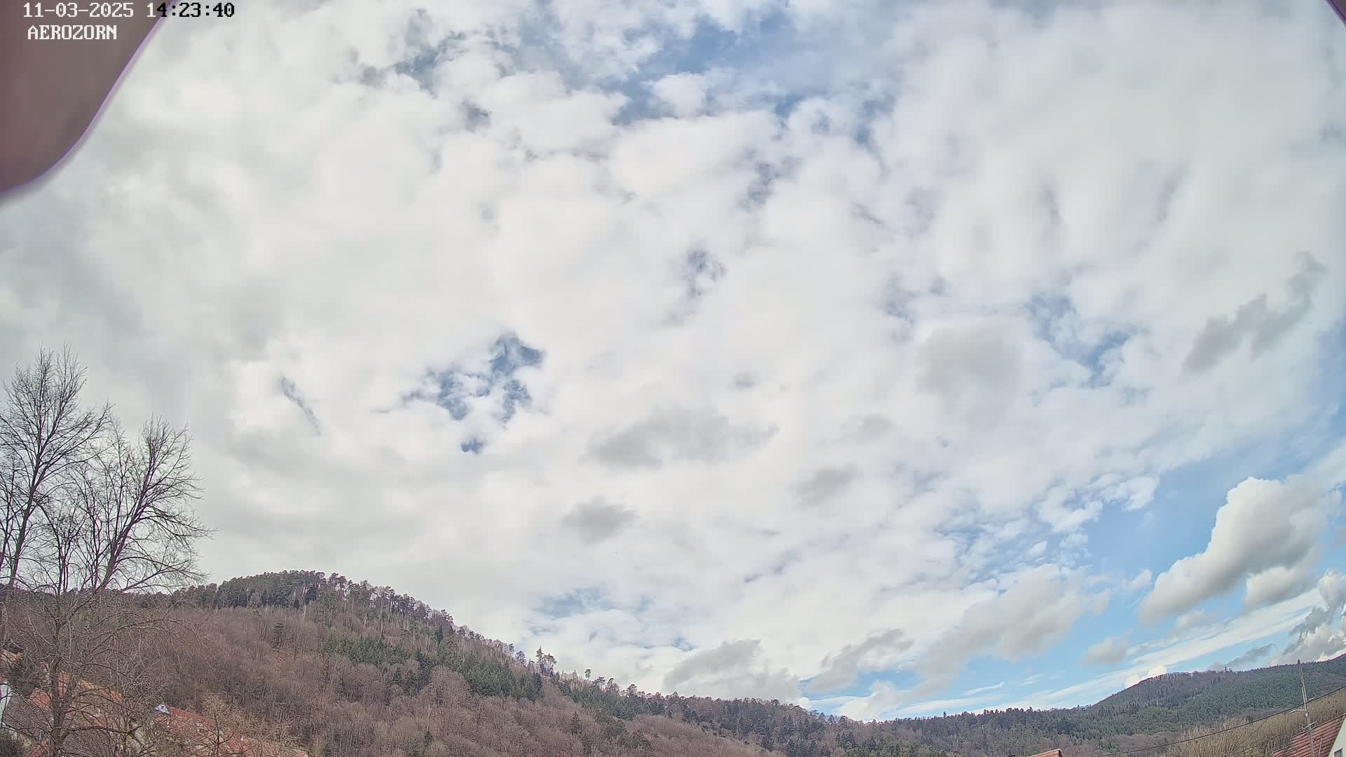 A mostly cloudy sky overlooks a line of leafless trees on a hillside.