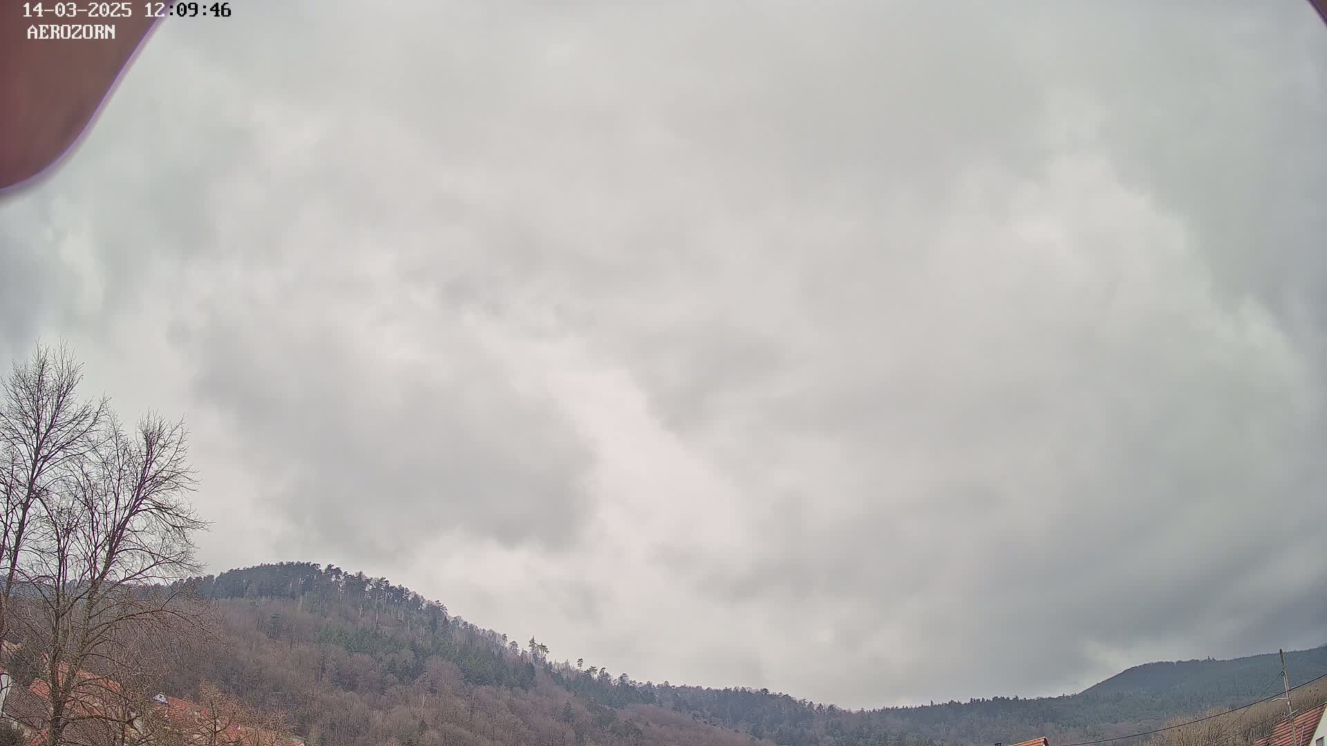 A mostly cloudy sky hangs over a line of bare, winter trees and hills.