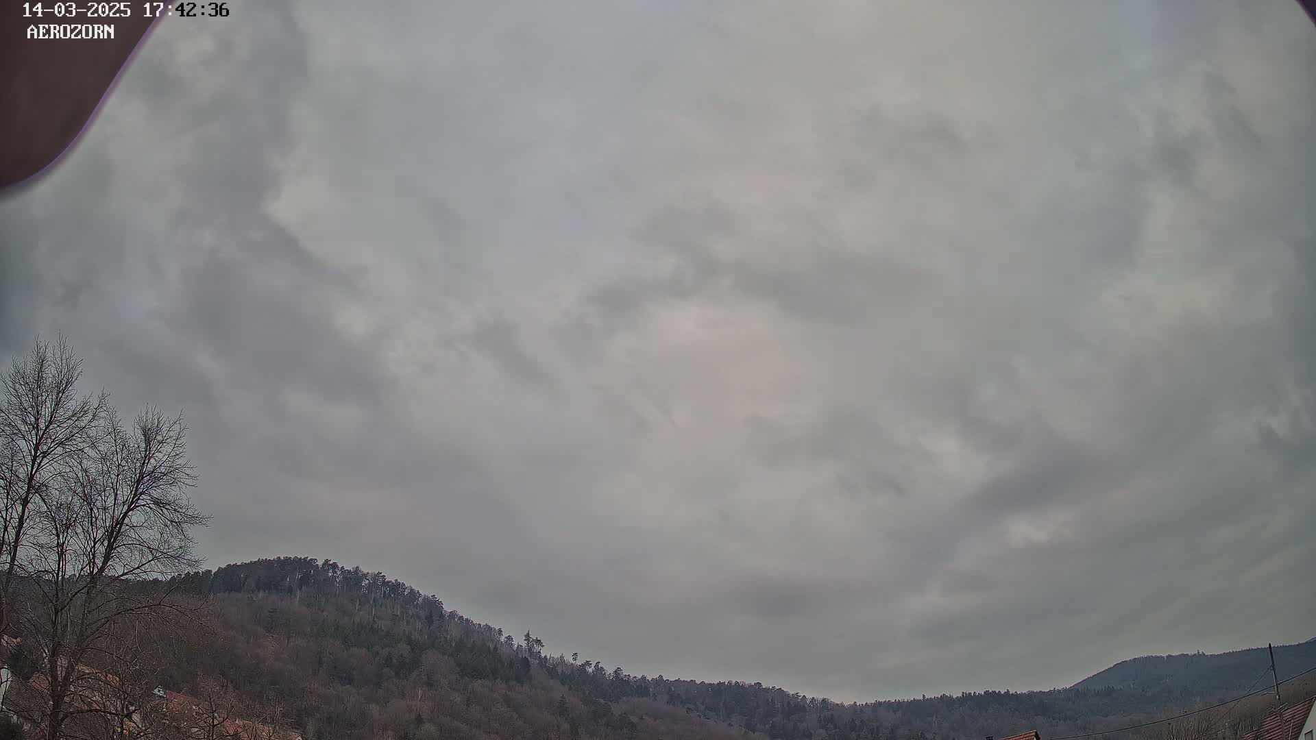 A mostly cloudy sky hangs over a line of leafless, dark trees atop rolling hills.