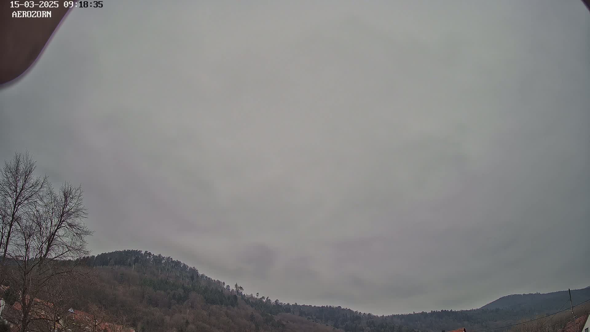 A mostly overcast sky hangs above a line of bare, winter trees and hills.