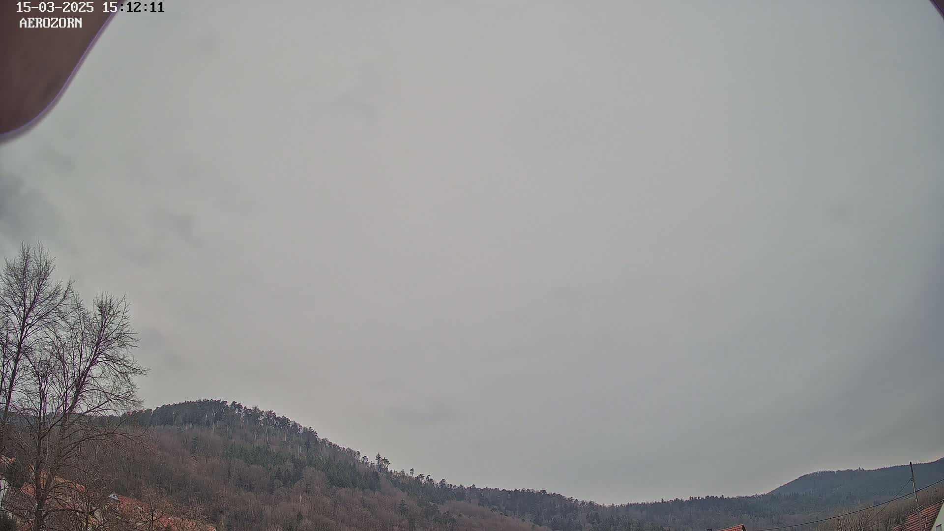 A mostly cloudy sky overlooks a line of bare, winter trees on a hill.