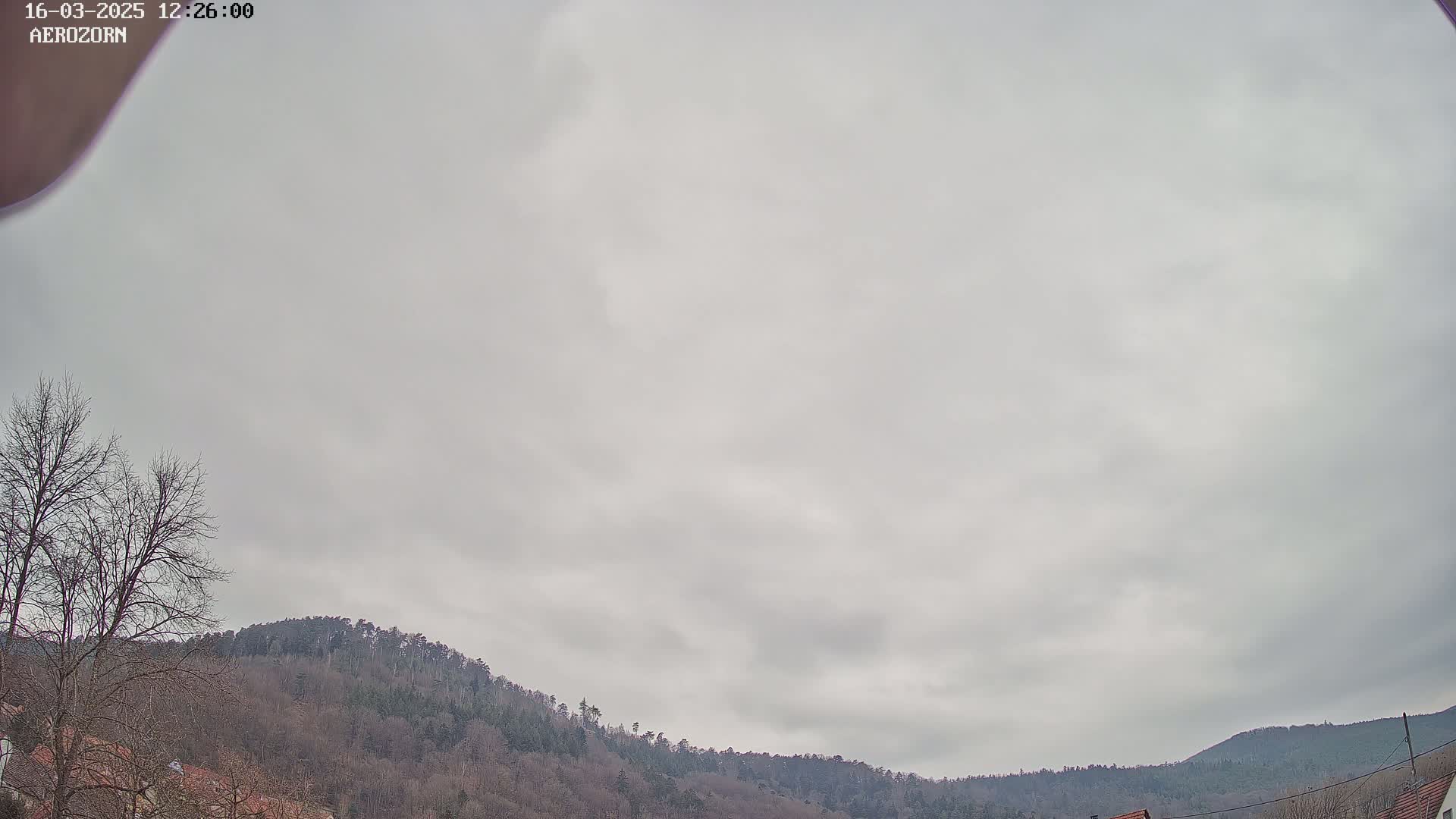 A mostly cloudy sky hangs over a line of bare, dark-green trees and hills.