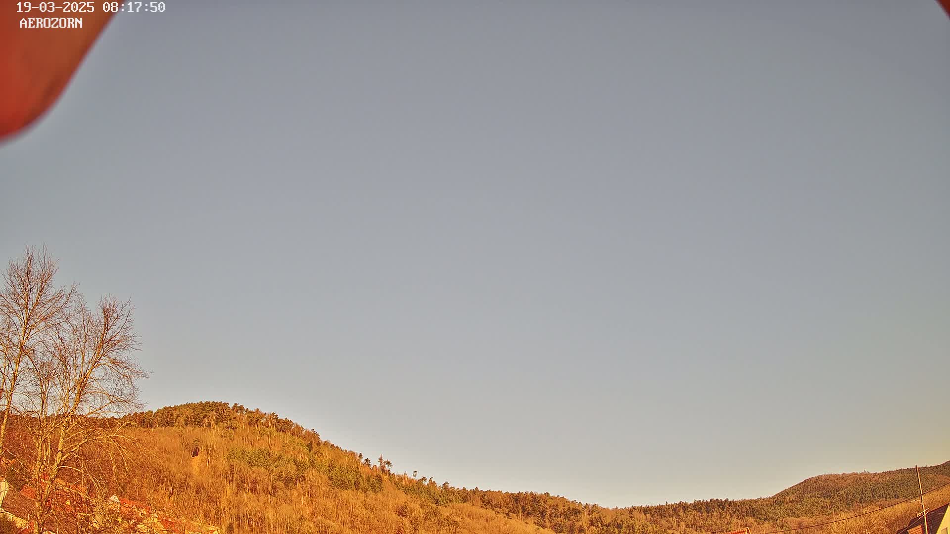 A mostly clear sky overlooks a gently sloping hill covered in dormant, brown trees.