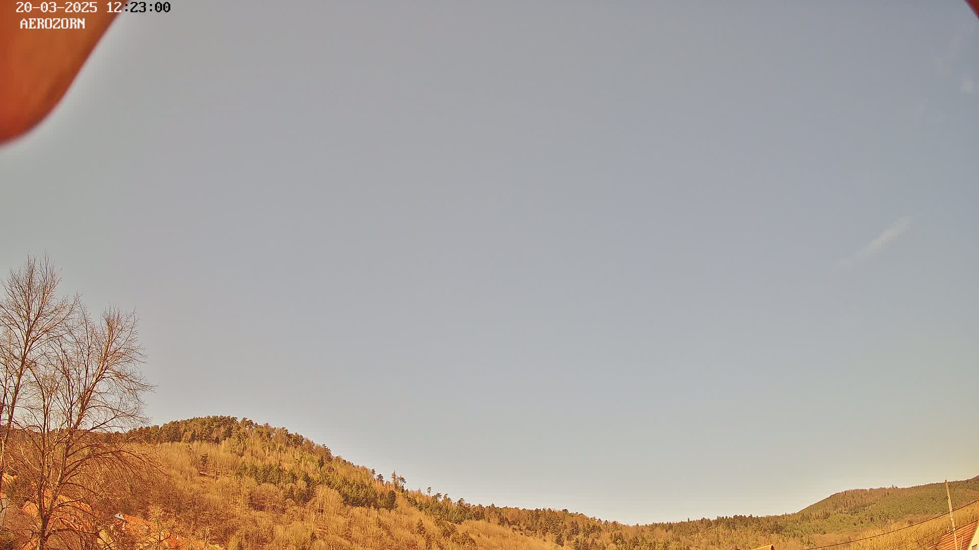 A mostly clear, pale sky is visible above a gently sloping hillside covered in mostly bare, brown trees.