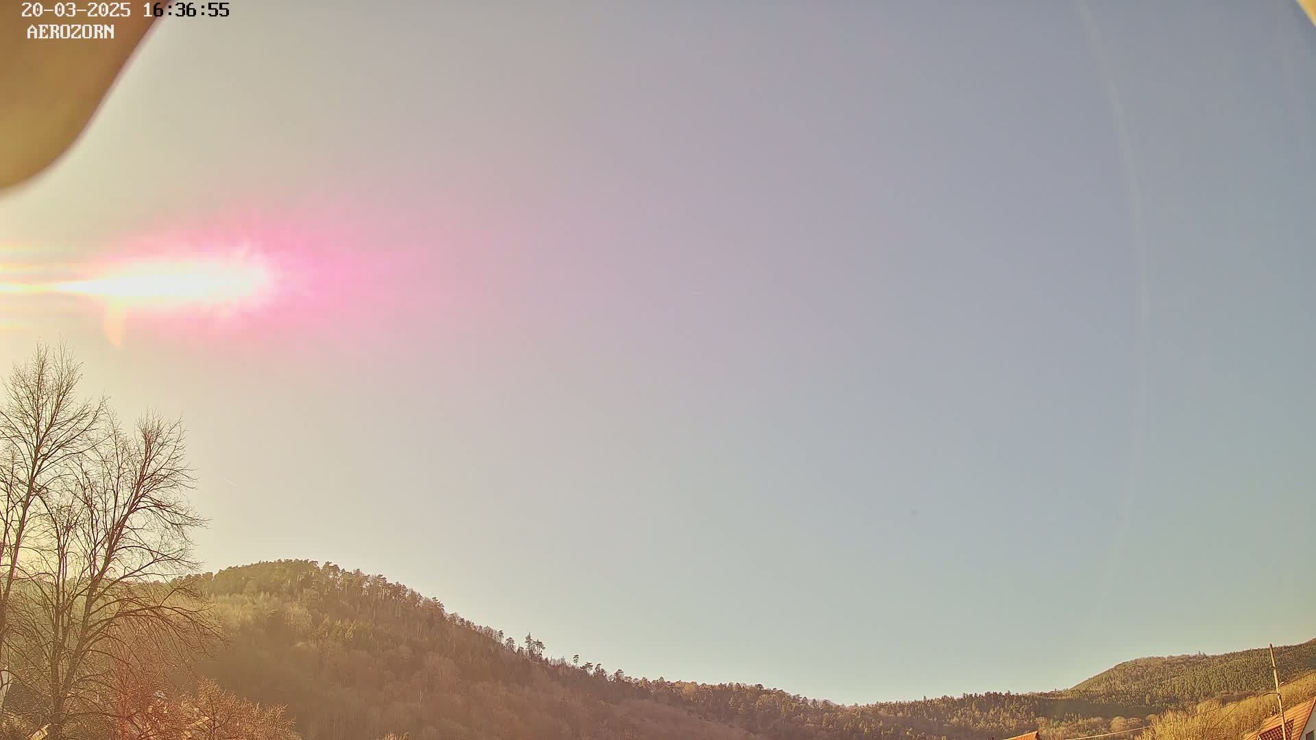 A sun shines brightly in a pale pink and light blue sky above a line of dark, leafless trees and hills.