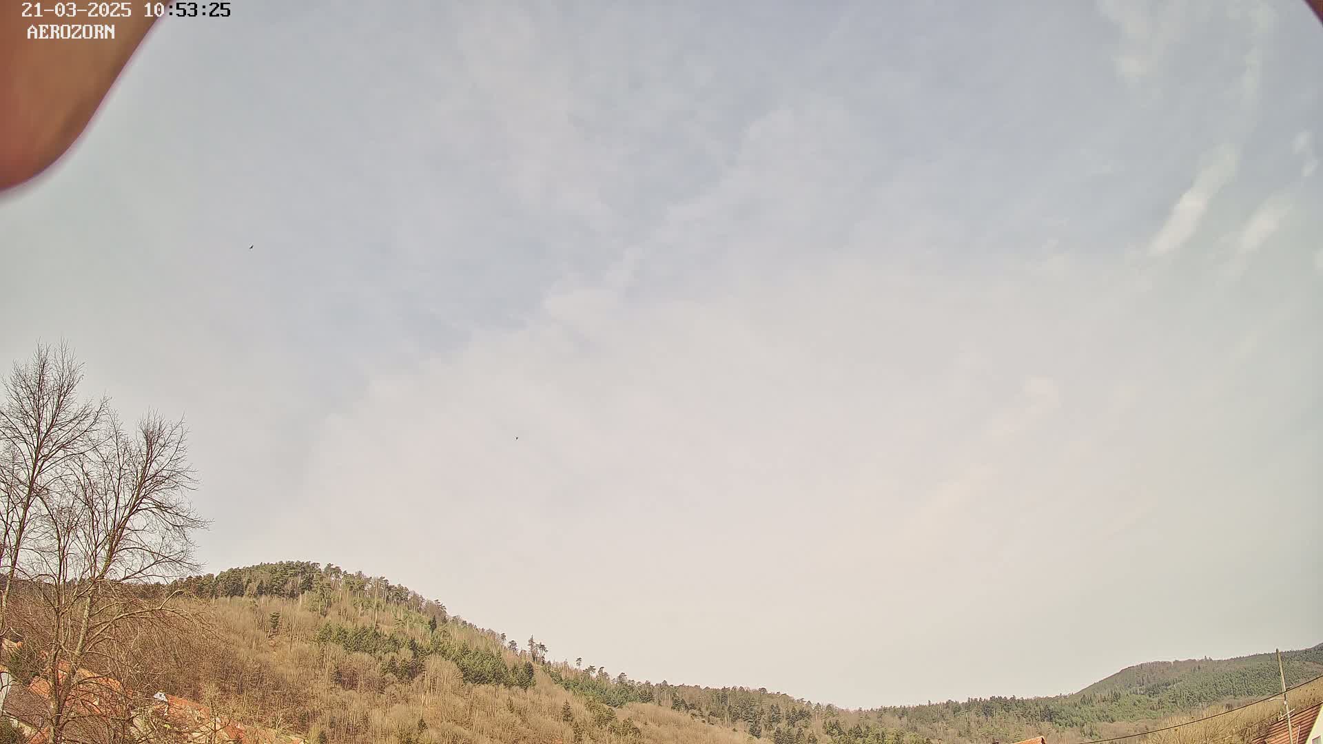 A mostly cloudy sky overlooks a line of bare, winter trees atop a hill.