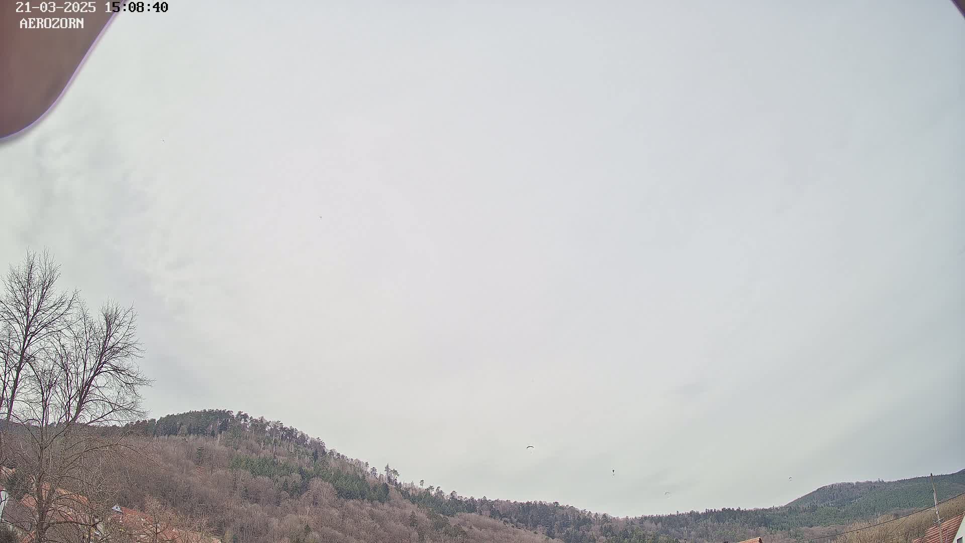 Under a mostly cloudy sky, two paragliders are visible above a line of bare, winter trees and hills.