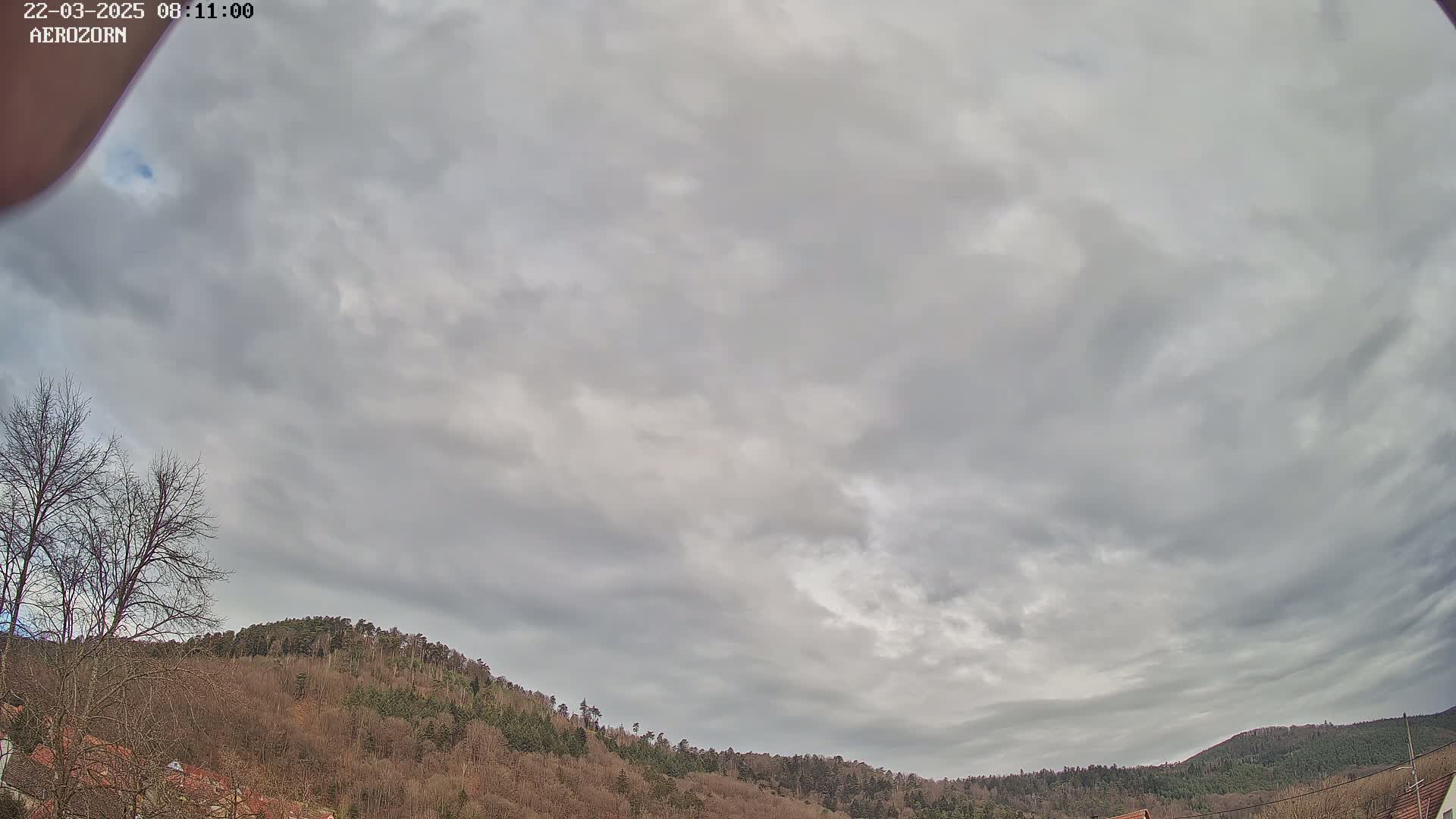 A mostly cloudy sky hangs over a line of leafless, winter trees and hills.