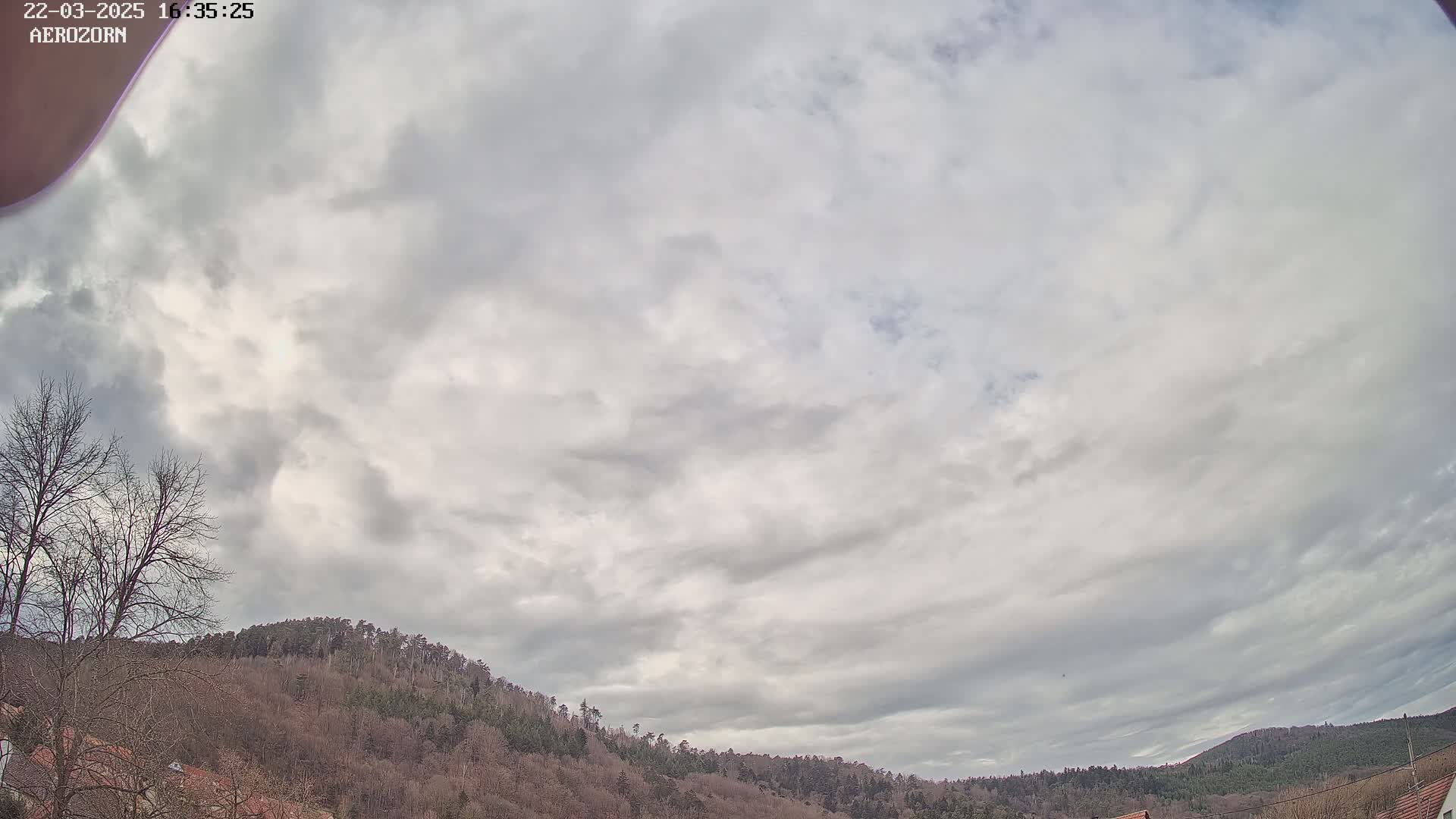 A mostly cloudy sky hangs over a line of bare, winter trees covering hills.