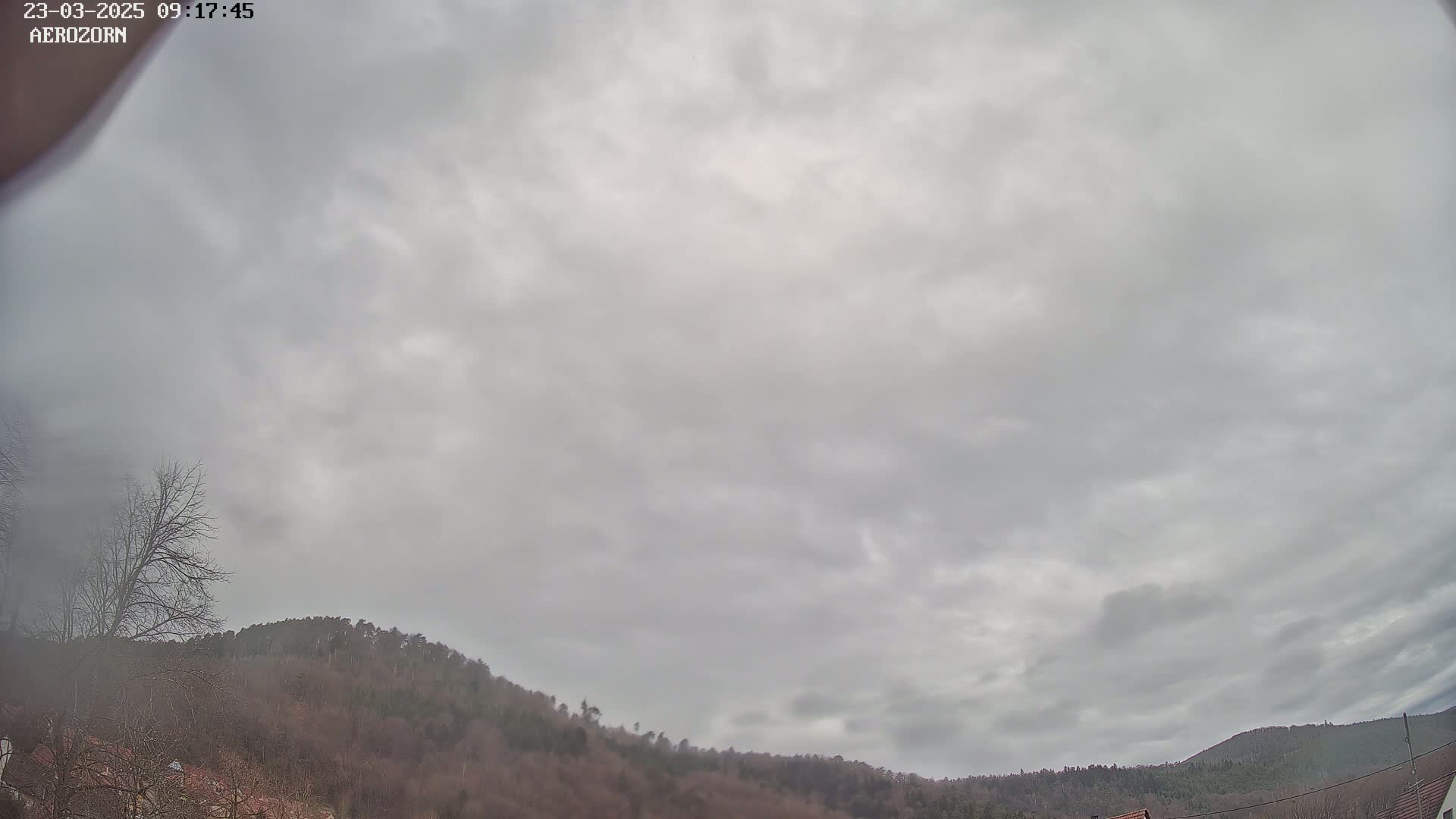 A mostly cloudy sky hangs over a low, rounded hill covered in bare, winter trees.