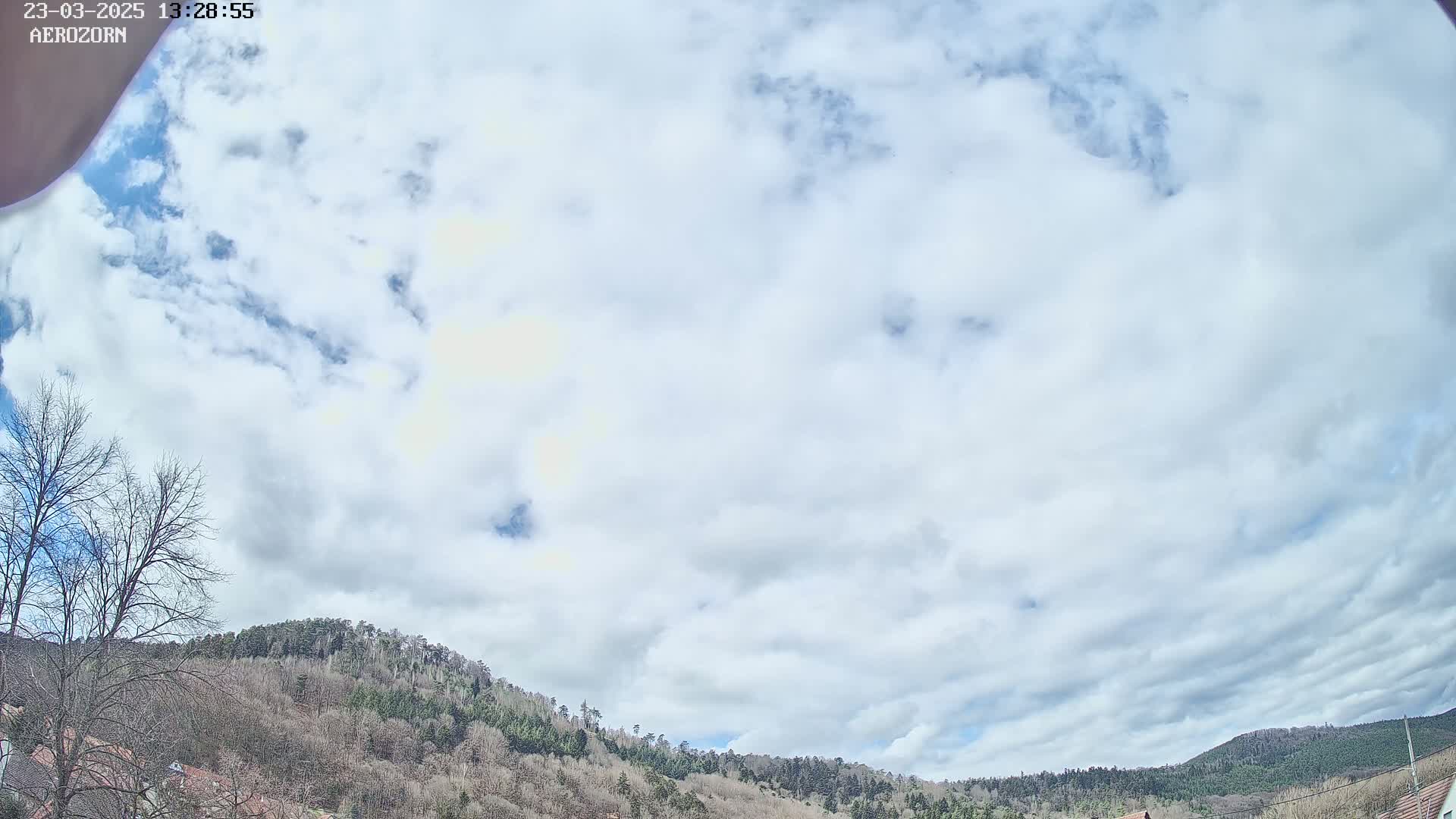 A mostly cloudy sky is above a line of leafless trees and hills.