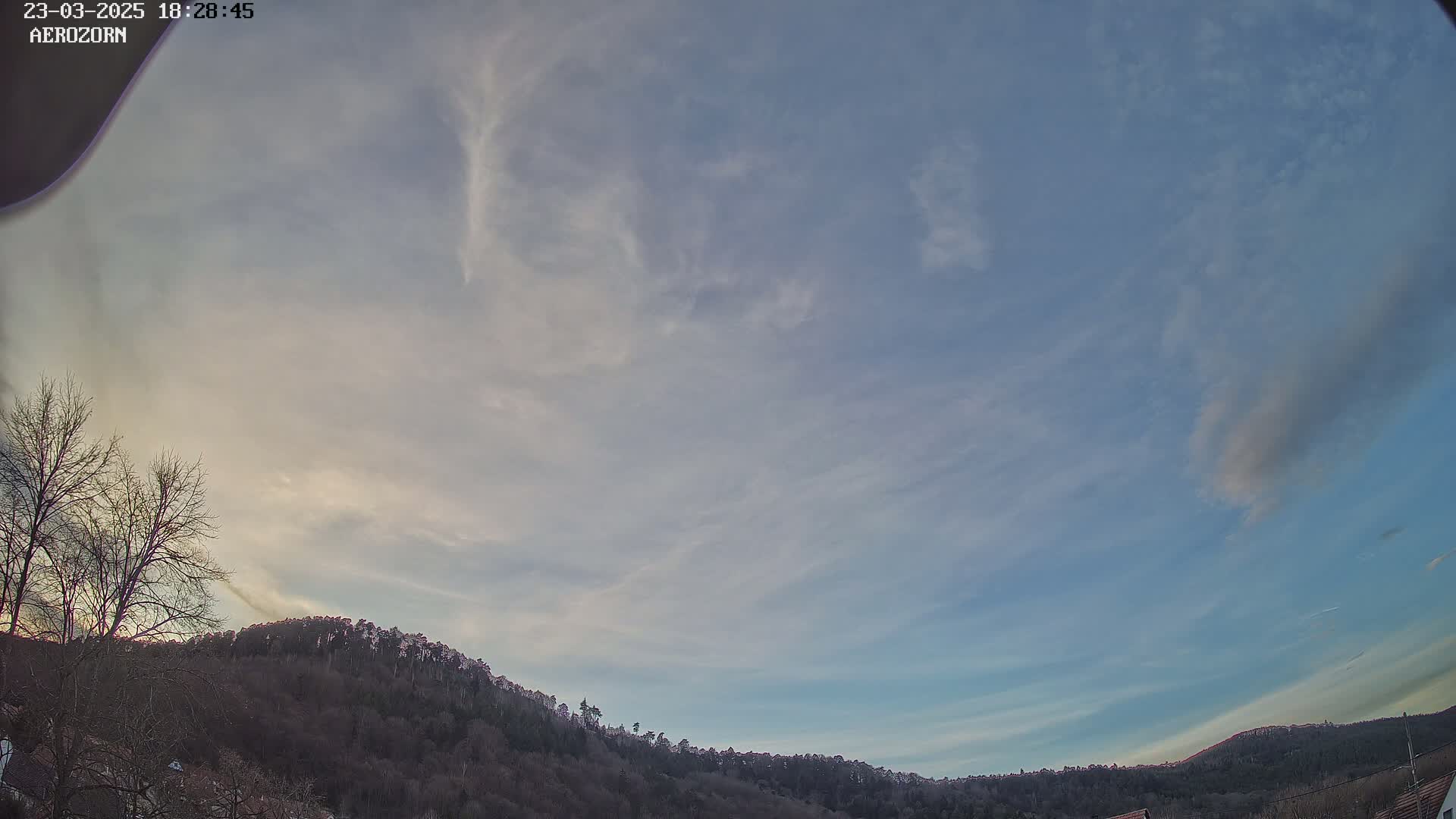 A mostly clear, pale blue sky with wispy clouds over a line of dark, leafless trees on a hill.