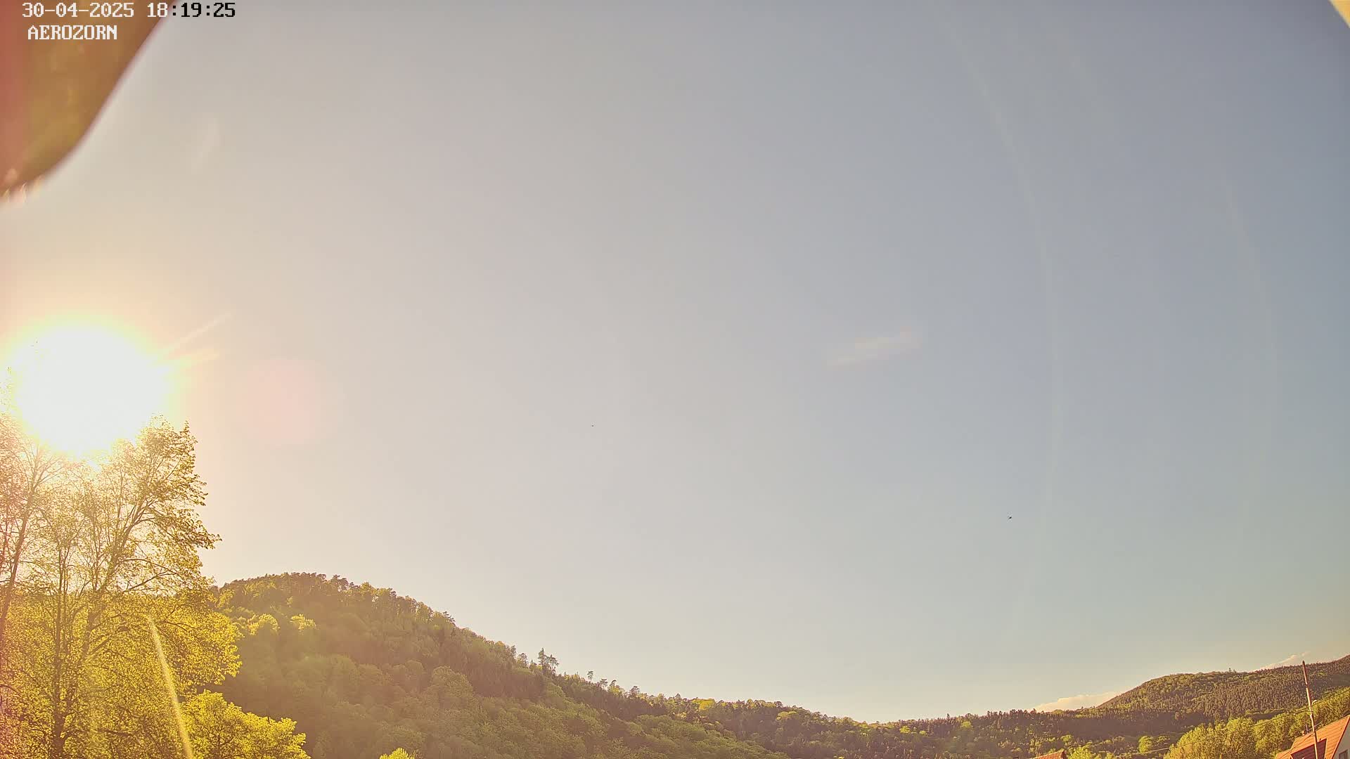 A bright sun shines in a mostly clear sky above a gently sloping hill covered in light green trees.