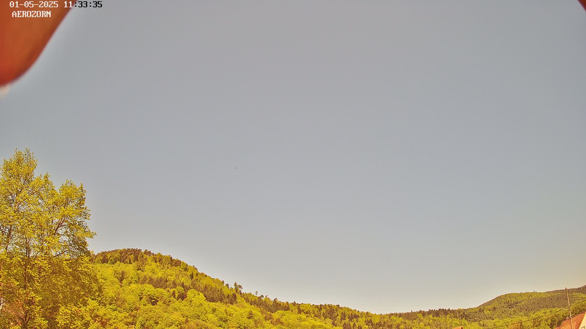 A mostly clear, light-grey sky is visible above a gently sloping hillside covered in lush, green, springtime foliage.