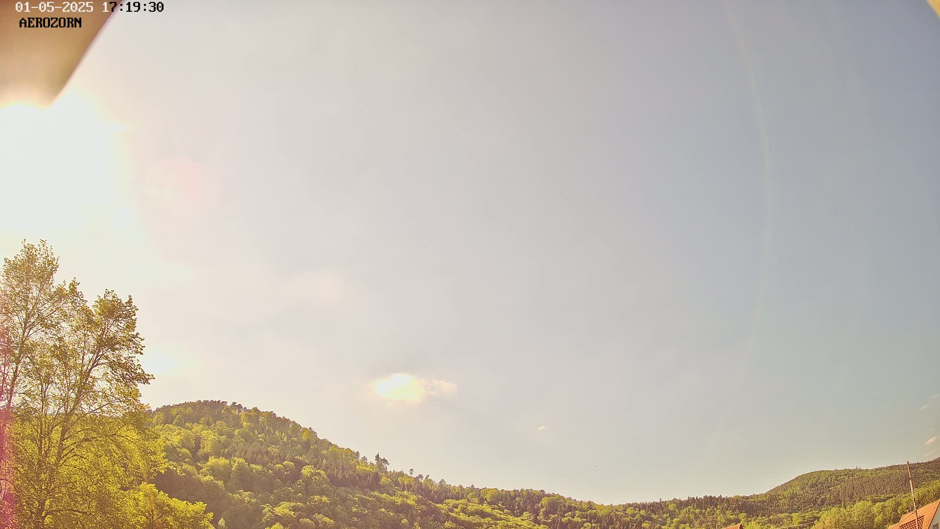 A mostly clear, bright sky is visible above a gently sloping hill covered in lush green trees.