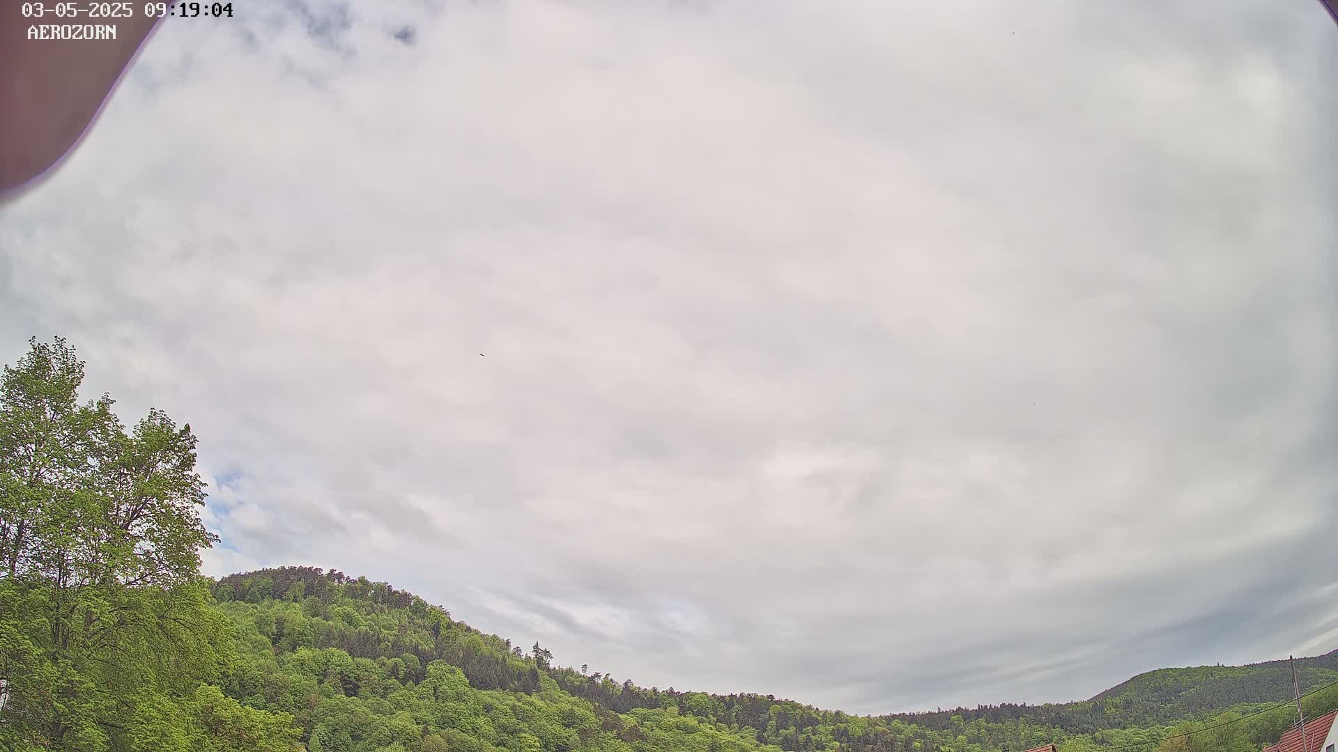 A mostly cloudy sky hangs over a verdant, tree-covered hill.