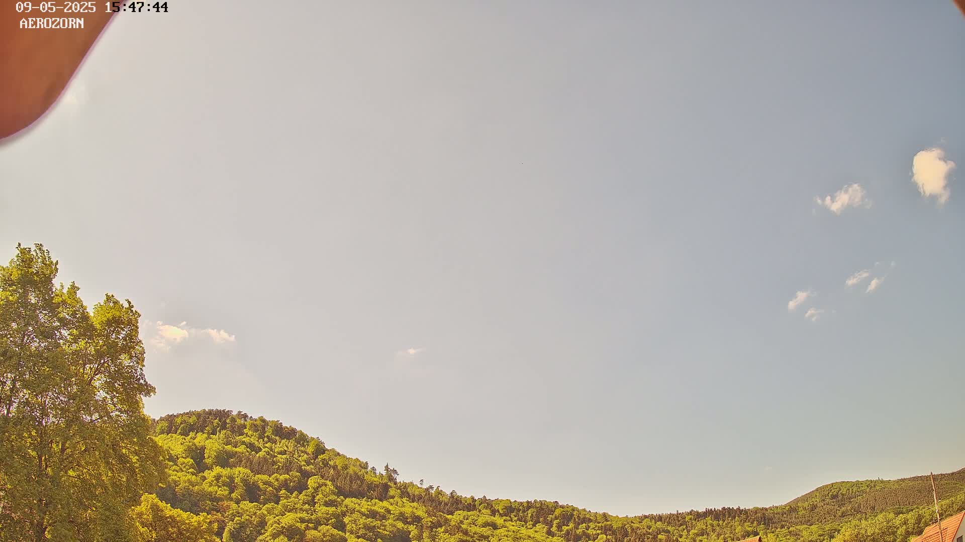A mostly clear sky with a few small clouds overlooks a lush green hill covered in trees.
