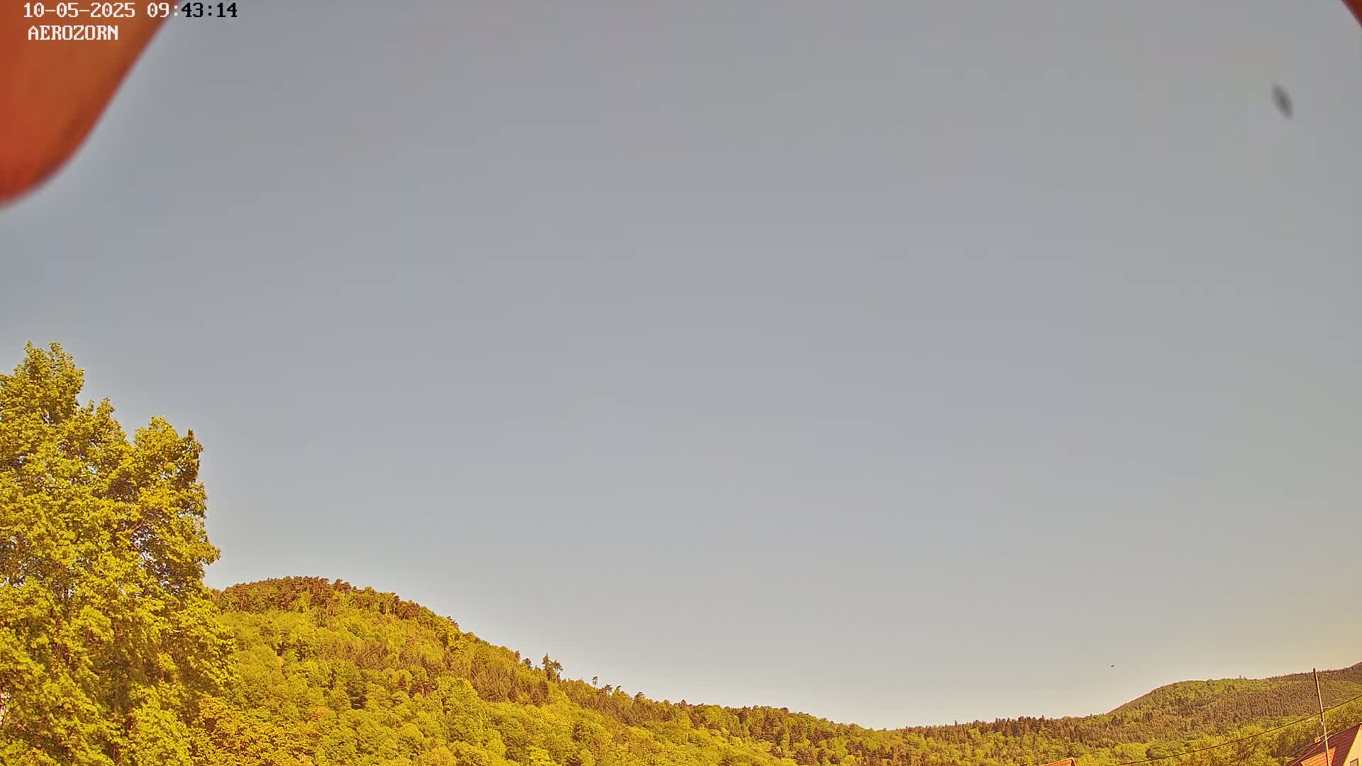 A mostly clear sky is over a gently sloping hill covered in lush green trees.