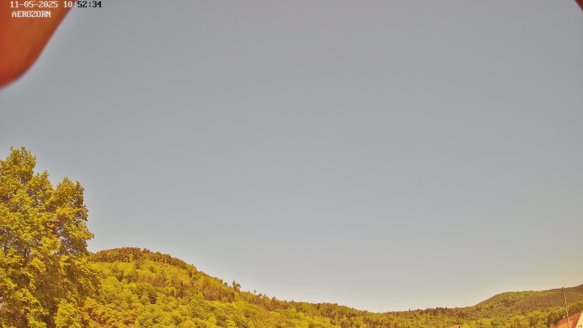 A mostly clear sky overlooks a gently sloping hillside covered in lush green trees.