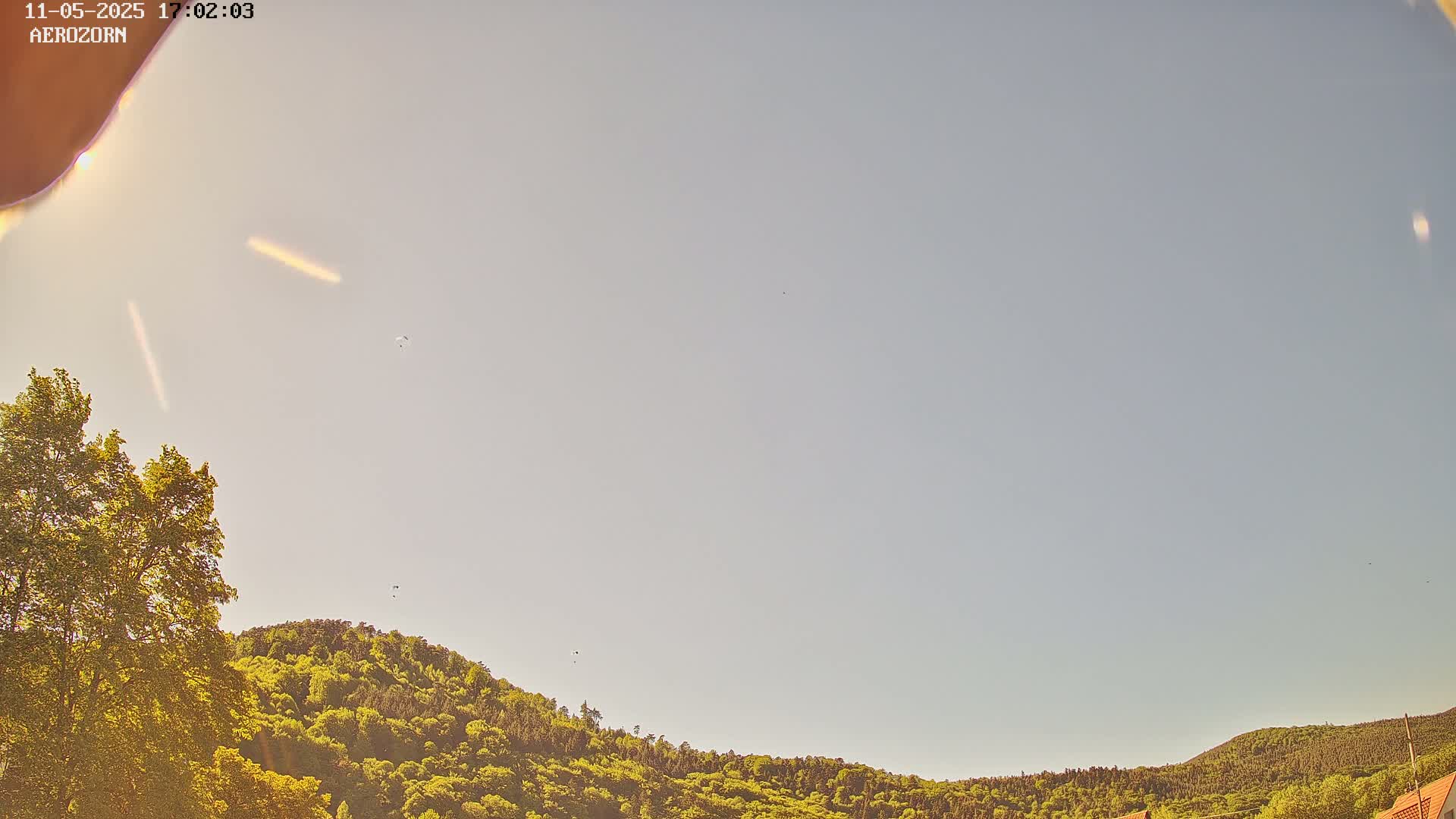 A mostly clear, light-blue sky is visible above a gently sloping hill covered in lush green trees.