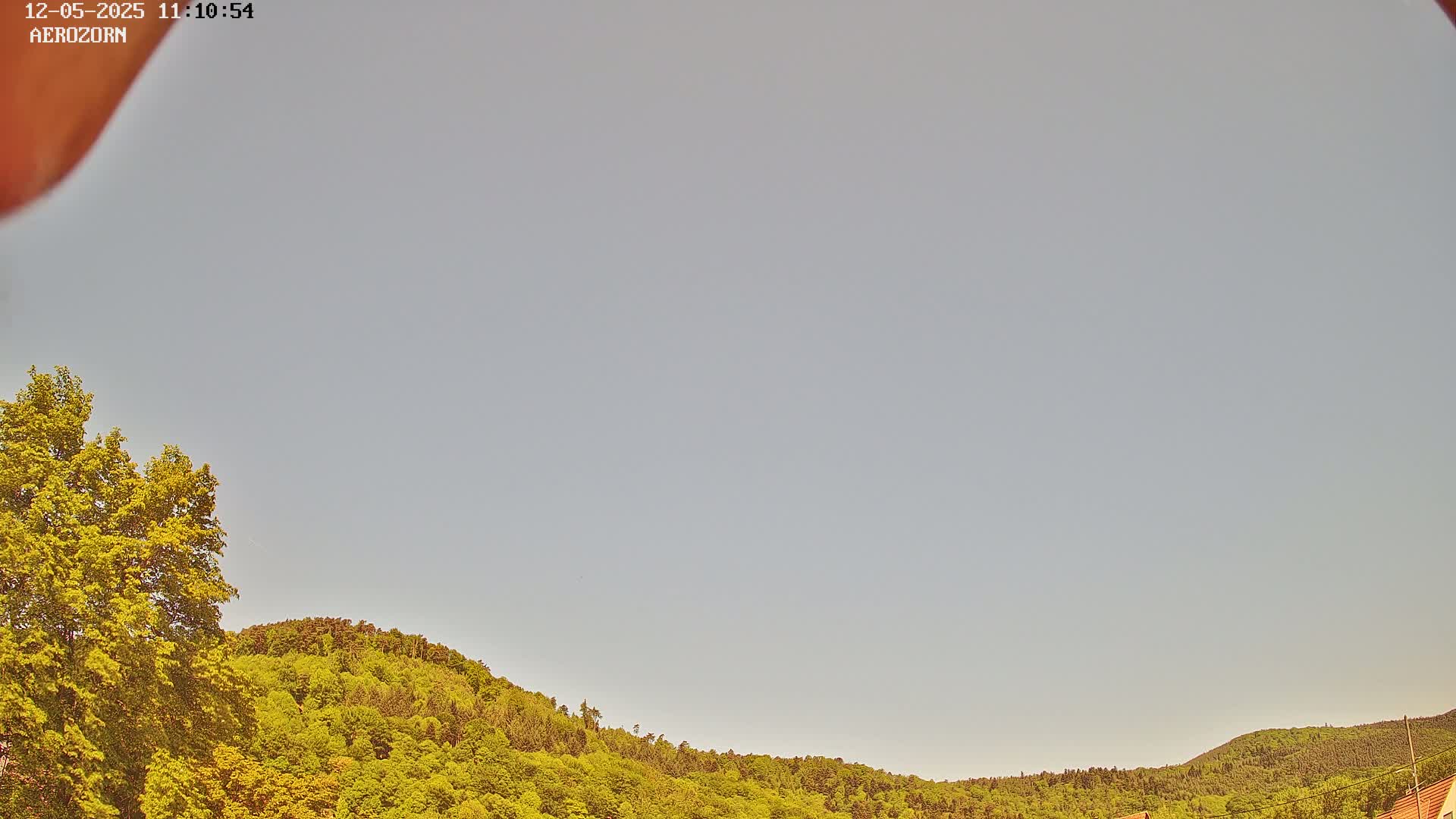 A mostly clear, light-grey sky is visible above a gently sloping line of lush green trees and foliage.