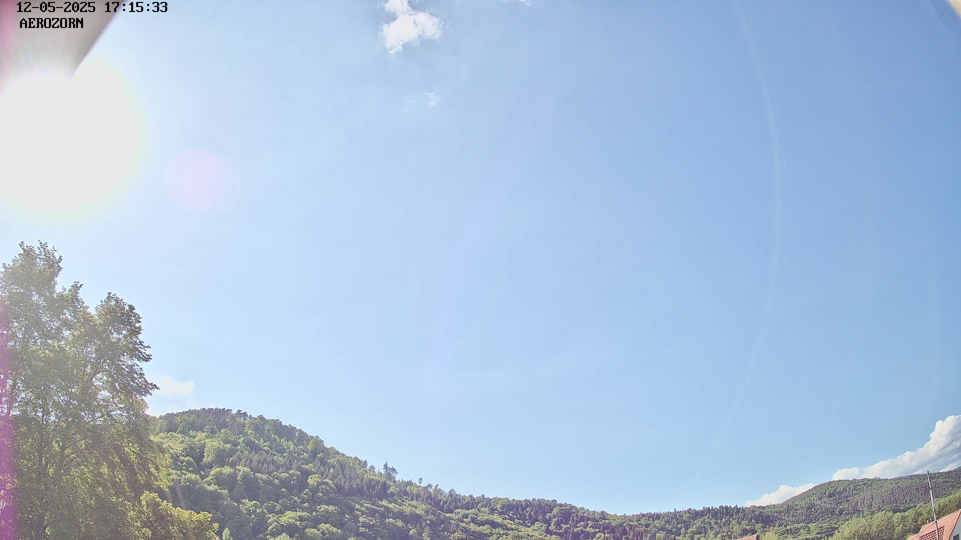 A mostly clear blue sky is over a lush green hillside partially obscured by a tree on the left.