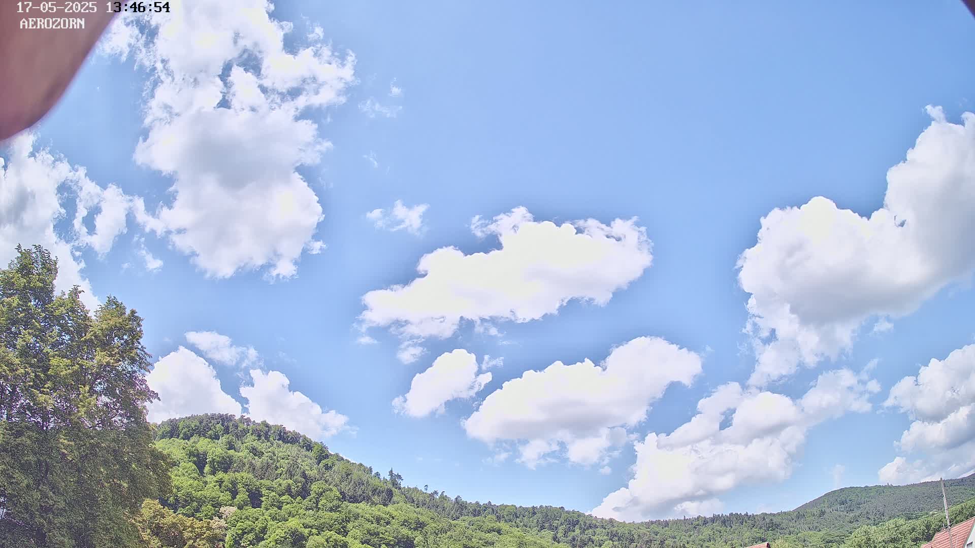 A mostly sunny sky with fluffy white cumulus clouds over a lush green, tree-covered hill.